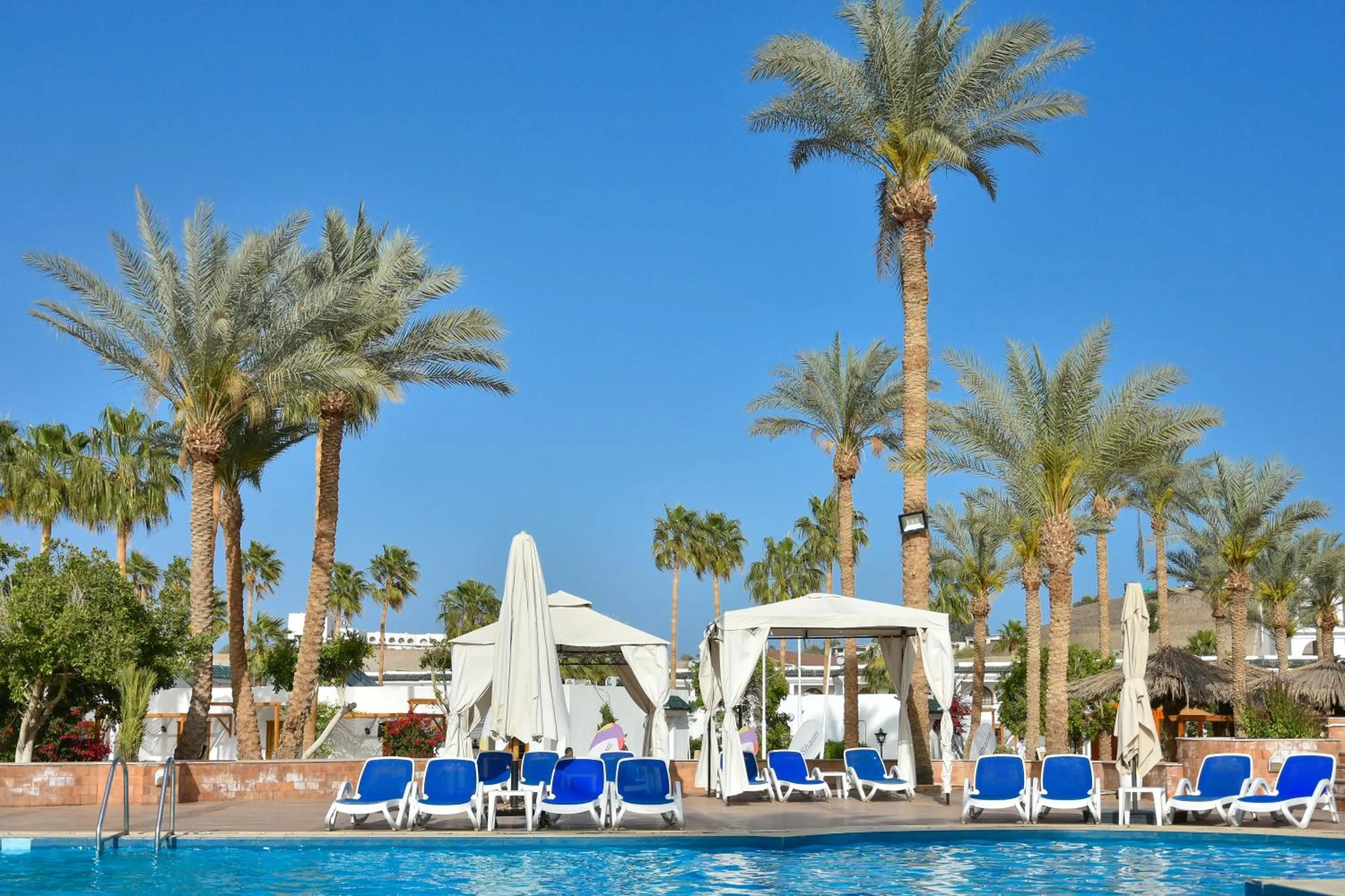 Day in Seti Sharm Palm Beach Resort Families and couples only