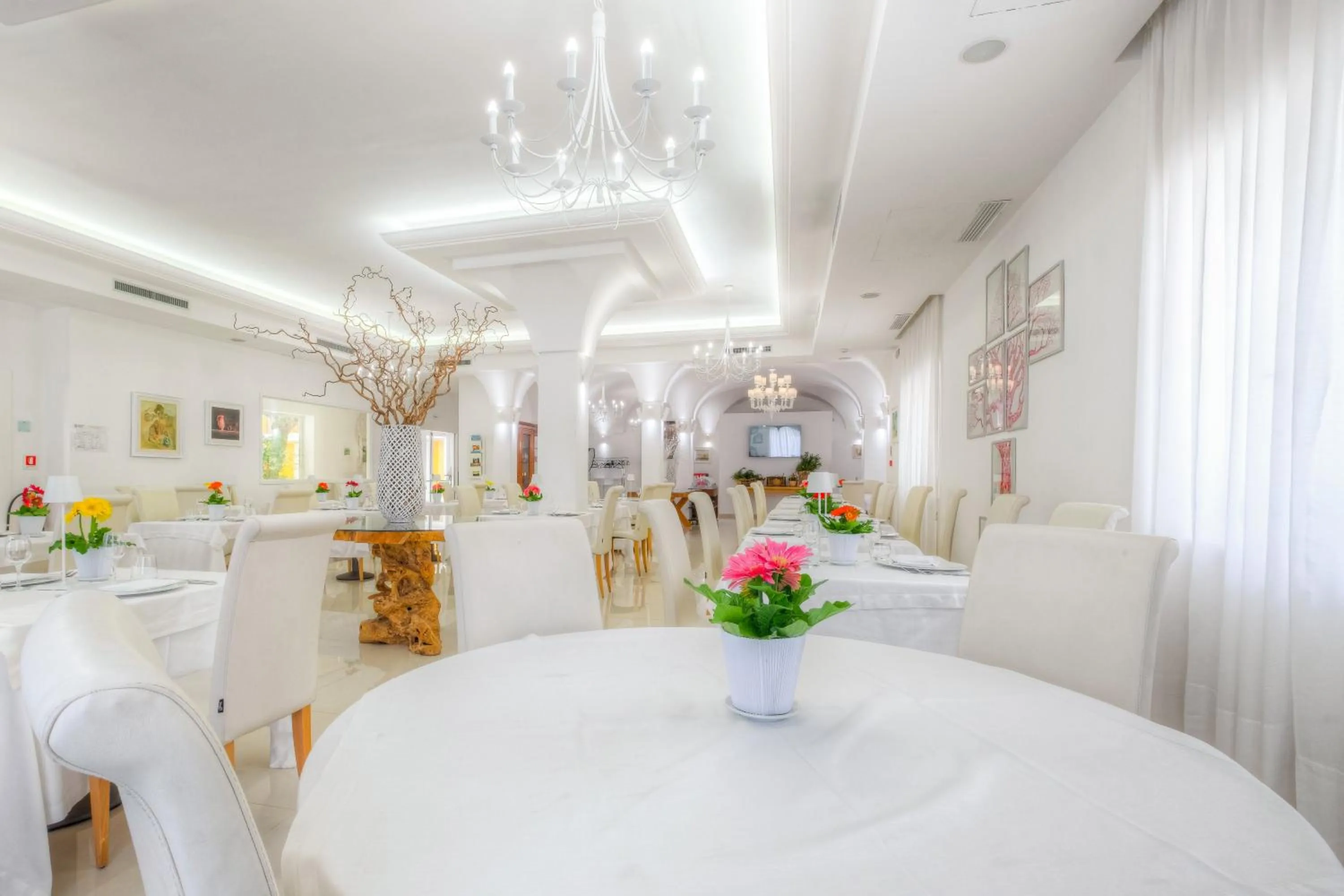 Restaurant/places to eat in Victoria Palace Hotel & Zen Wellness