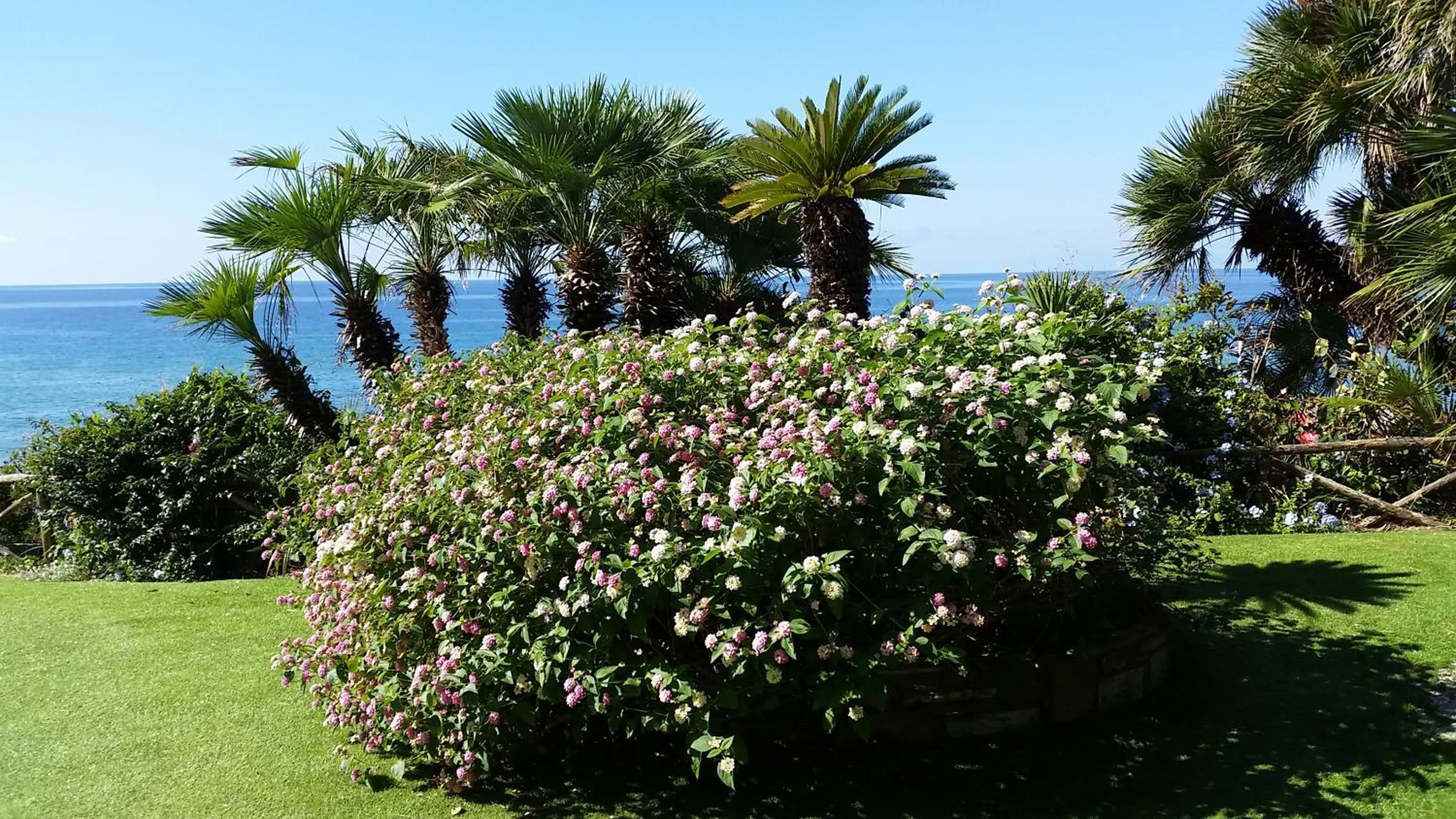 Autumn in Palazzo Belmonte
