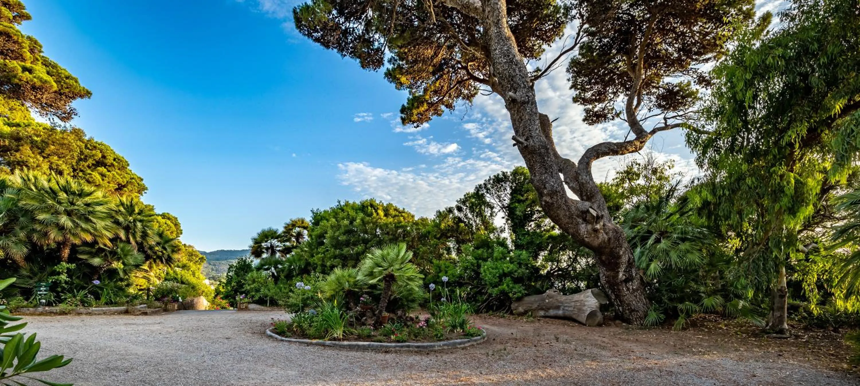 Garden in Palazzo Belmonte