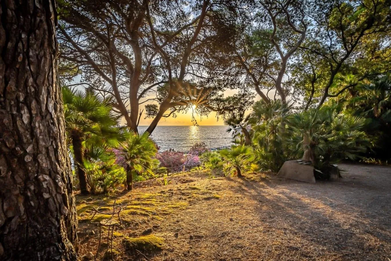 Garden in Palazzo Belmonte