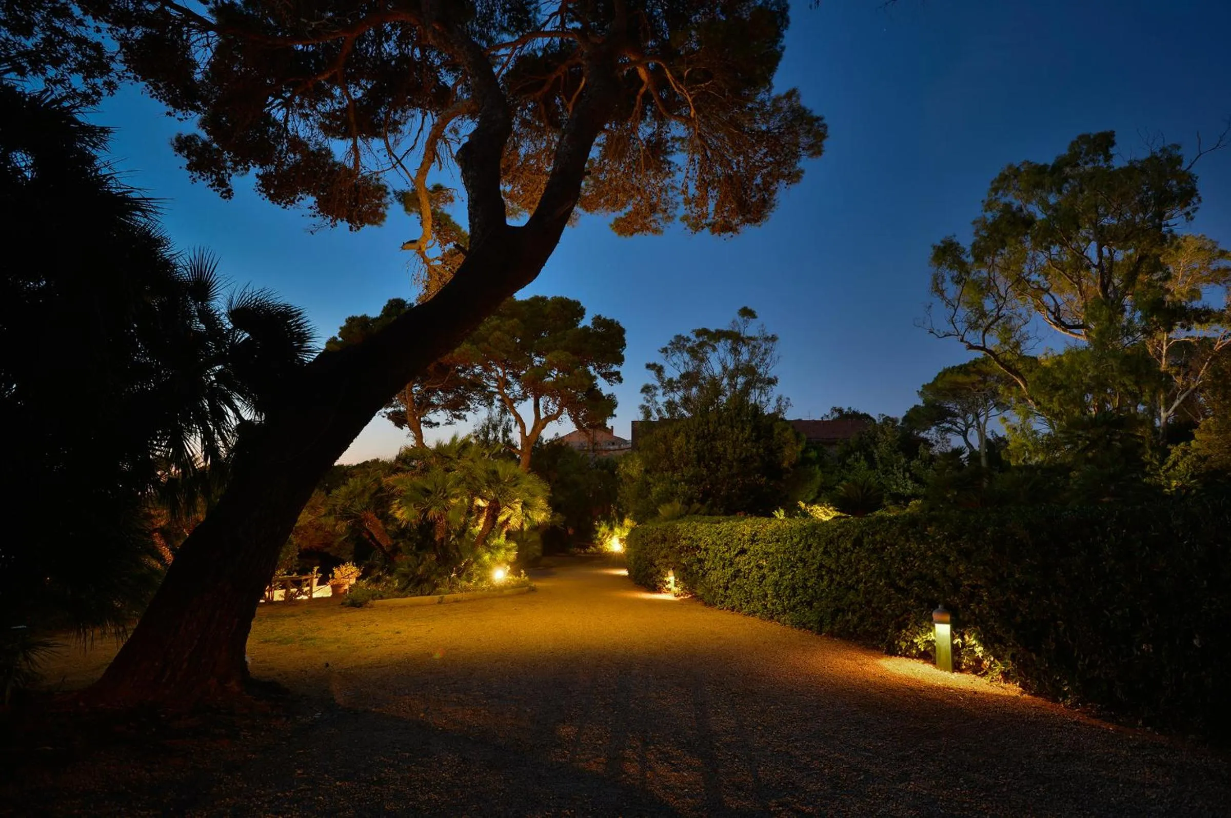 Garden in Palazzo Belmonte