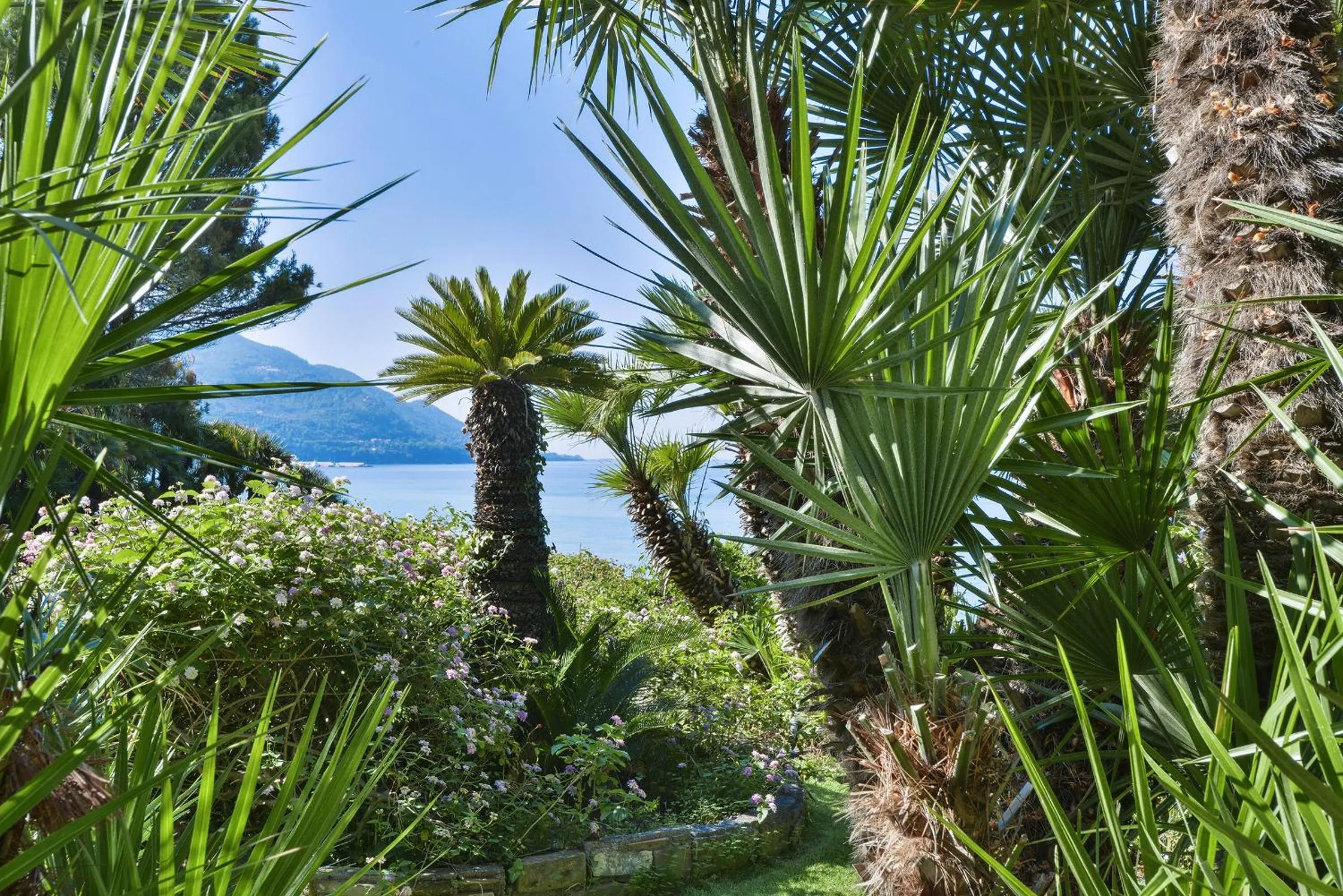 Garden in Palazzo Belmonte