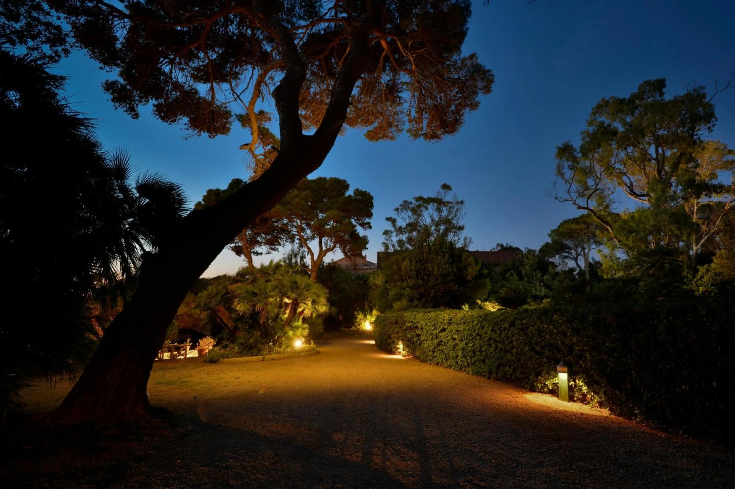 Garden in Palazzo Belmonte