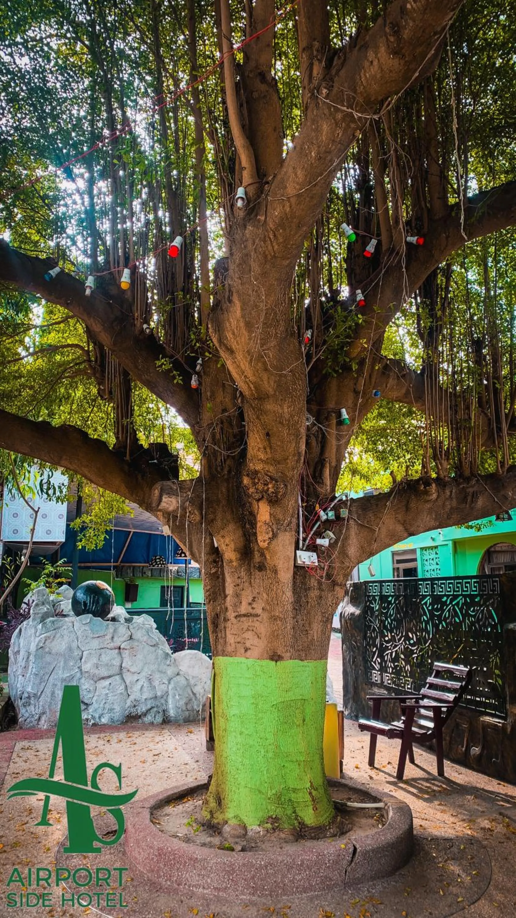 Natural landscape in Airport Side Hotel