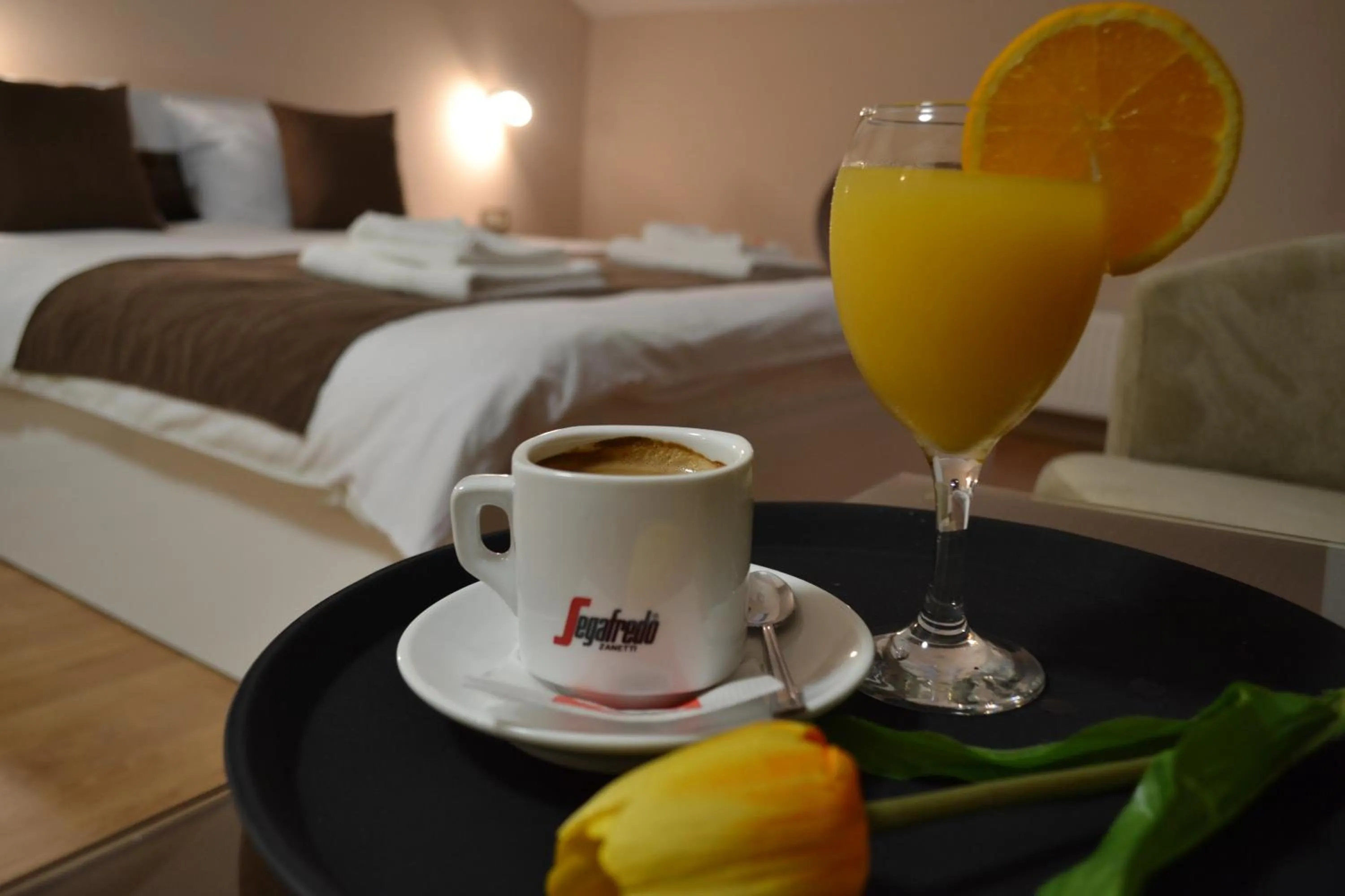 Double Room - single occupancy in City House Bitola
