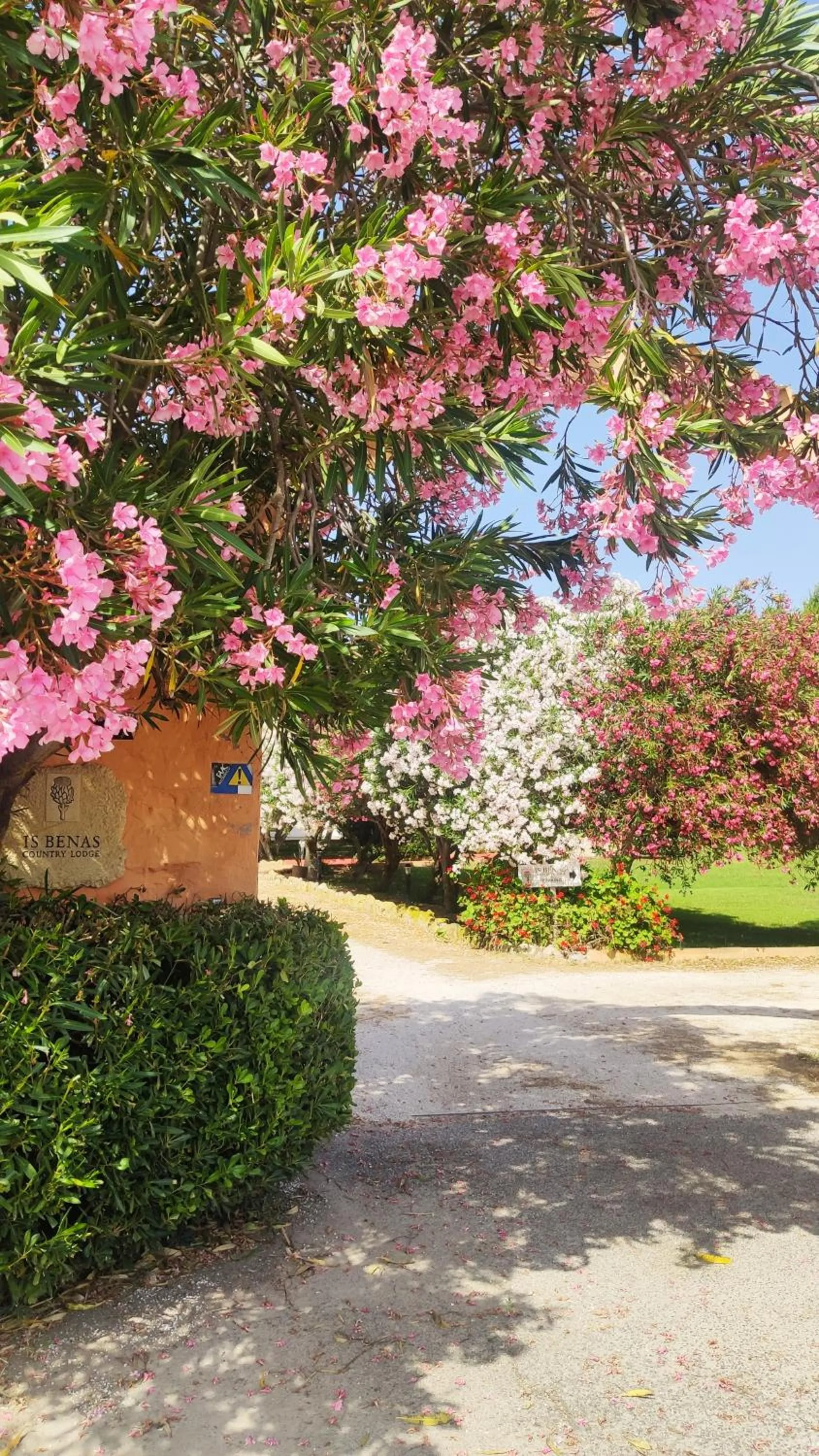 Facade/entrance in Is Benas Country Lodge