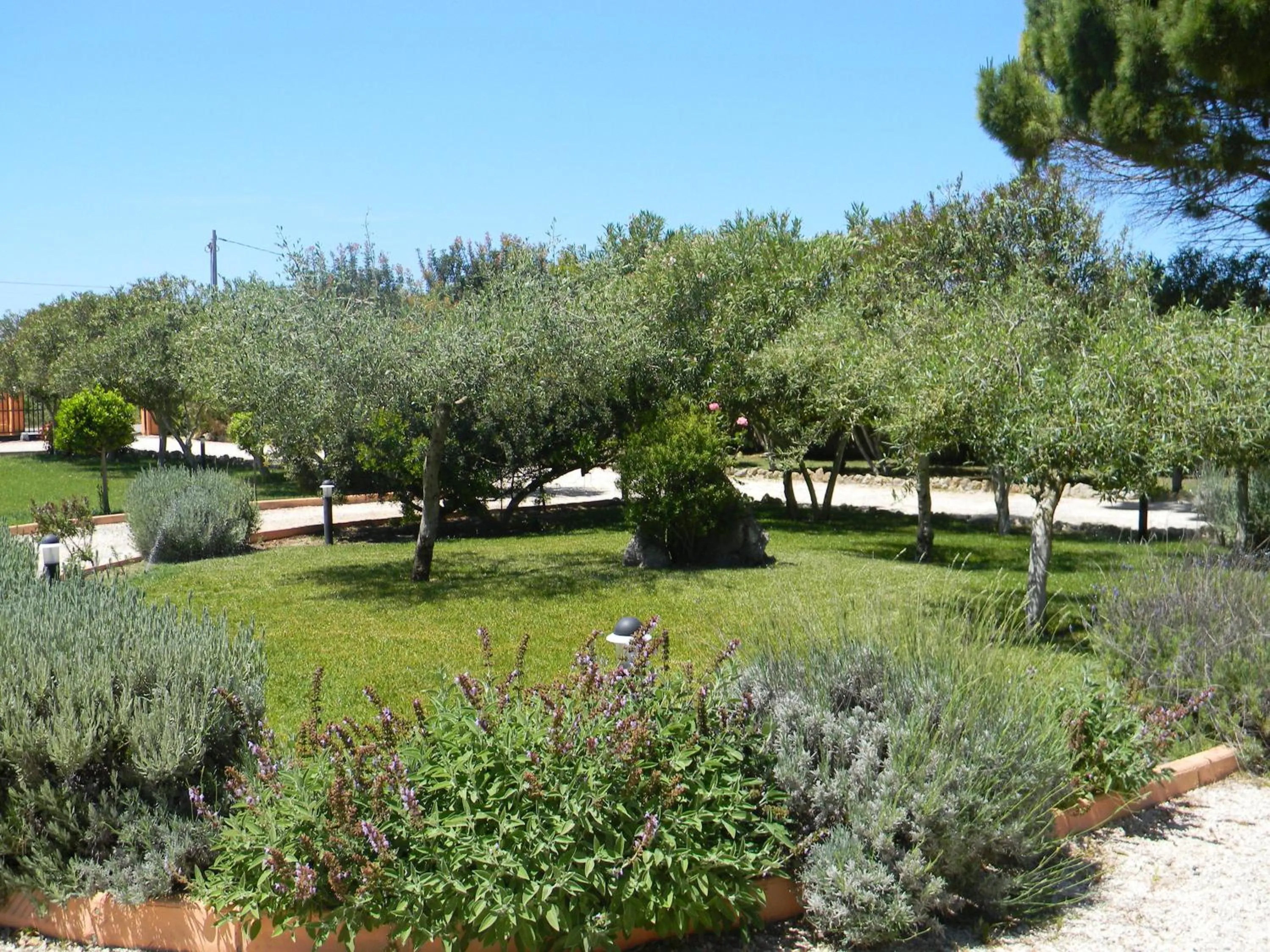 Garden in Is Benas Country Lodge