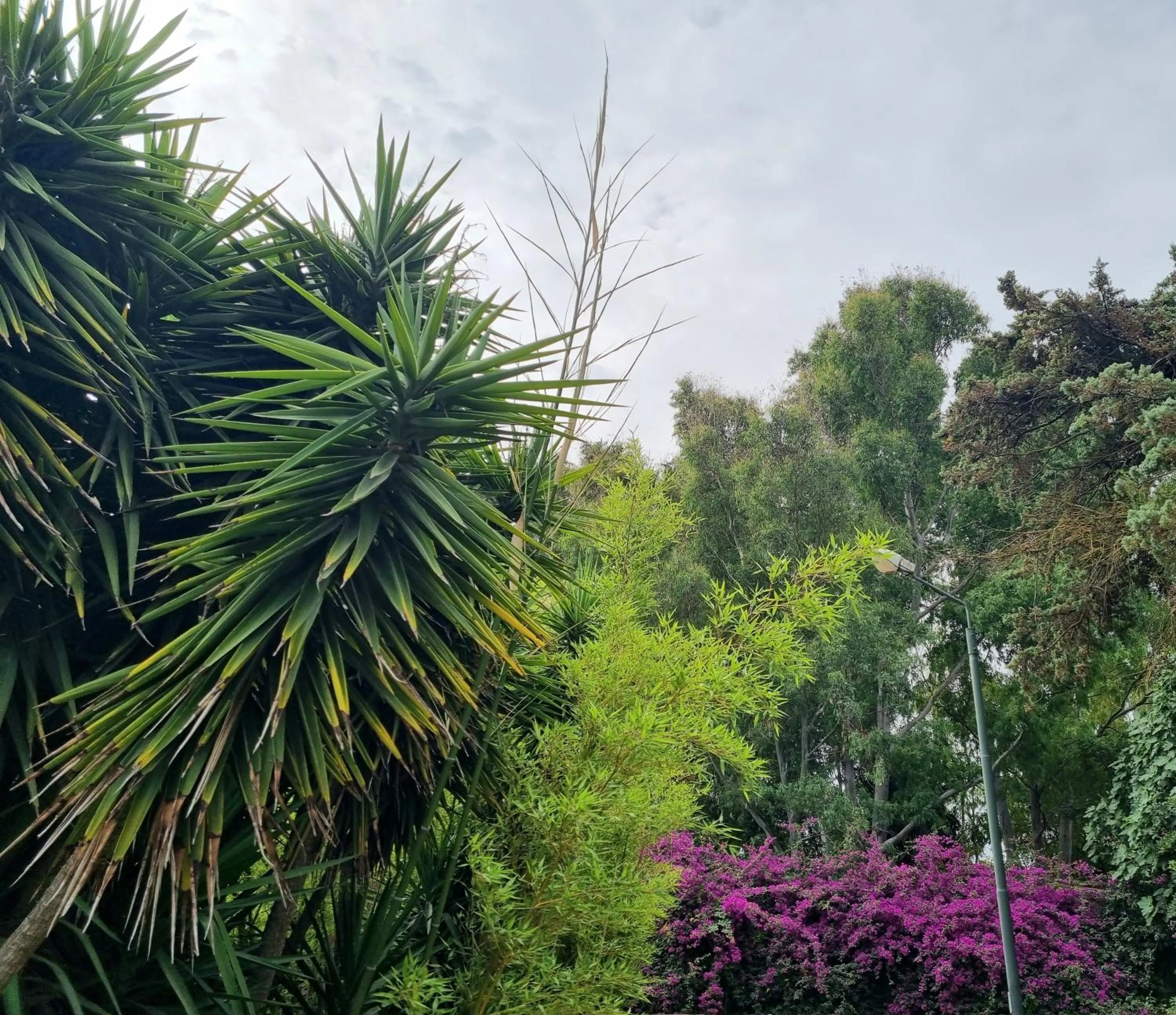 Garden in Is Benas Country Lodge