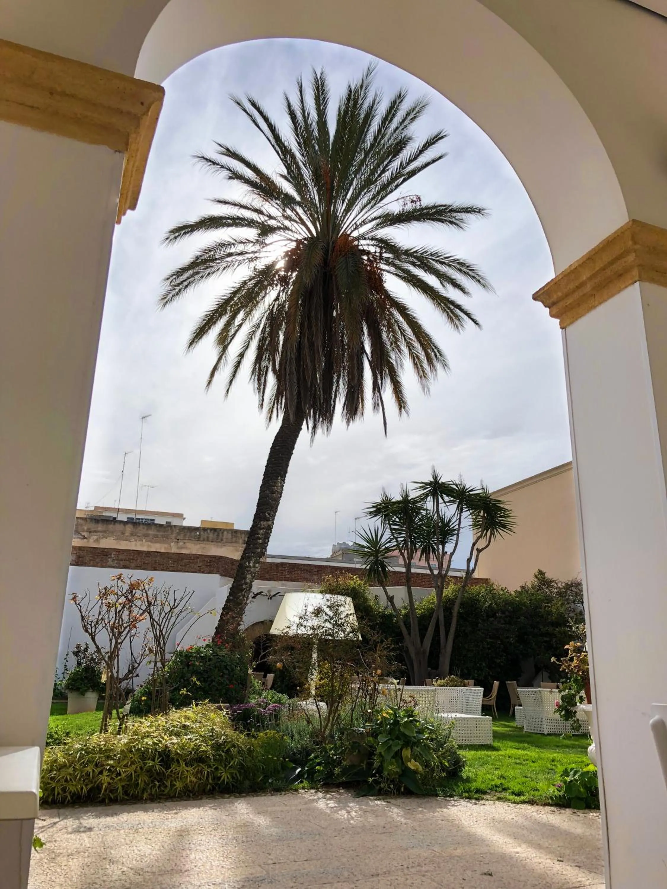 Garden in Hotel Carmine