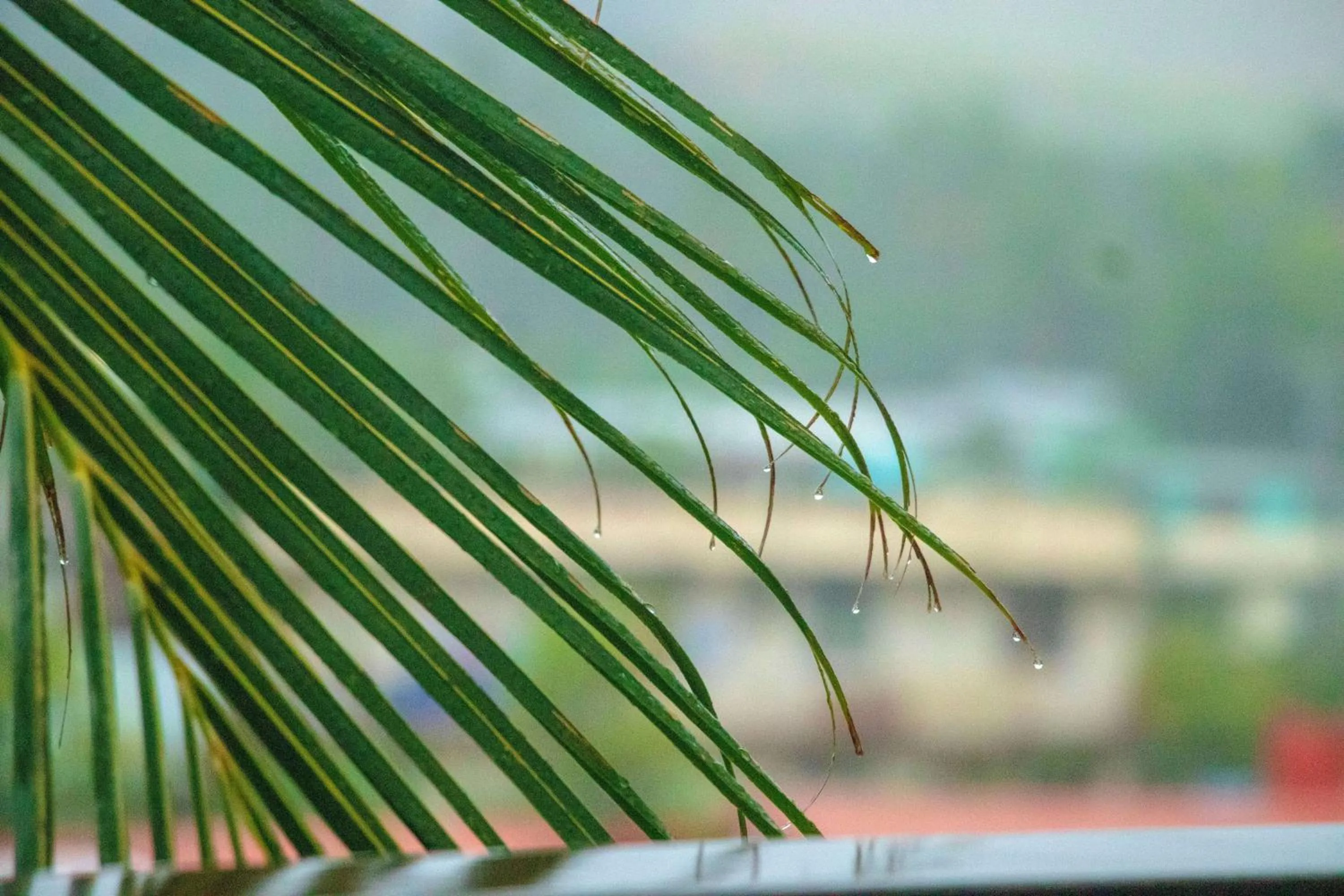 Property building in Ramada Suites By Wyndham Seafront Coral Coast