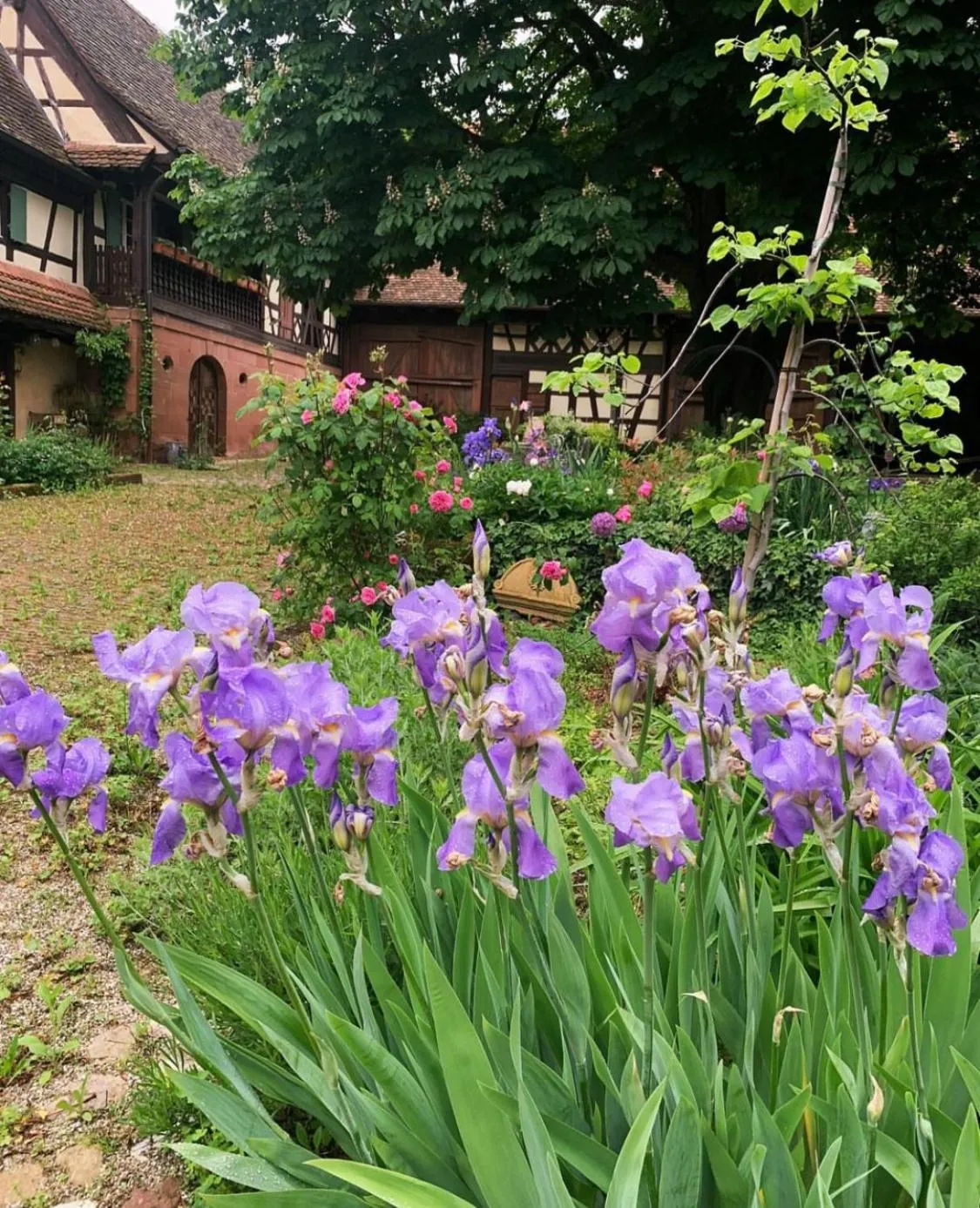 Spring in Au Fil du Temps