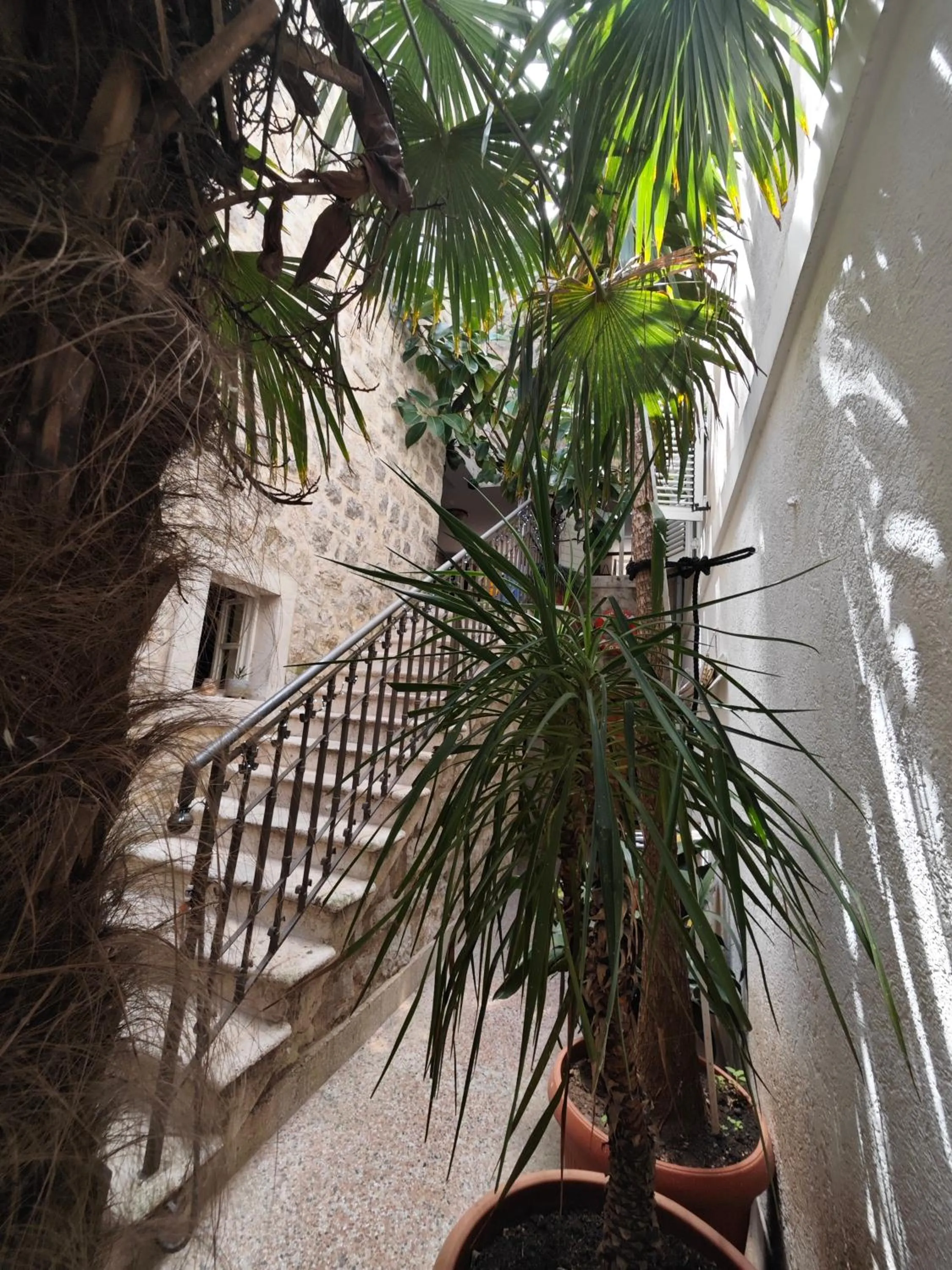 Natural landscape in Beatrix Suites