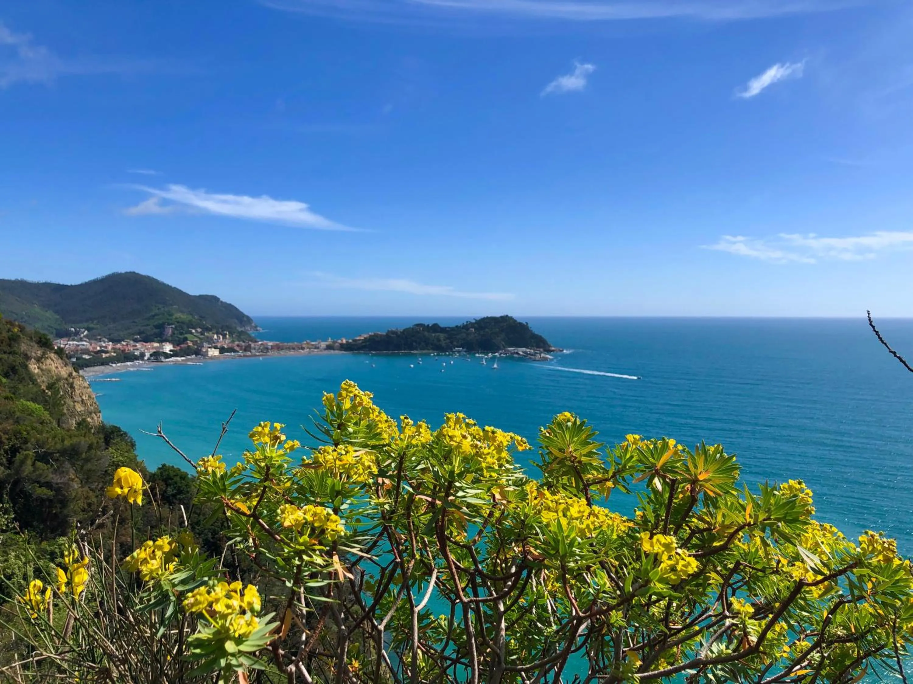 Natural landscape in Hotel Doria