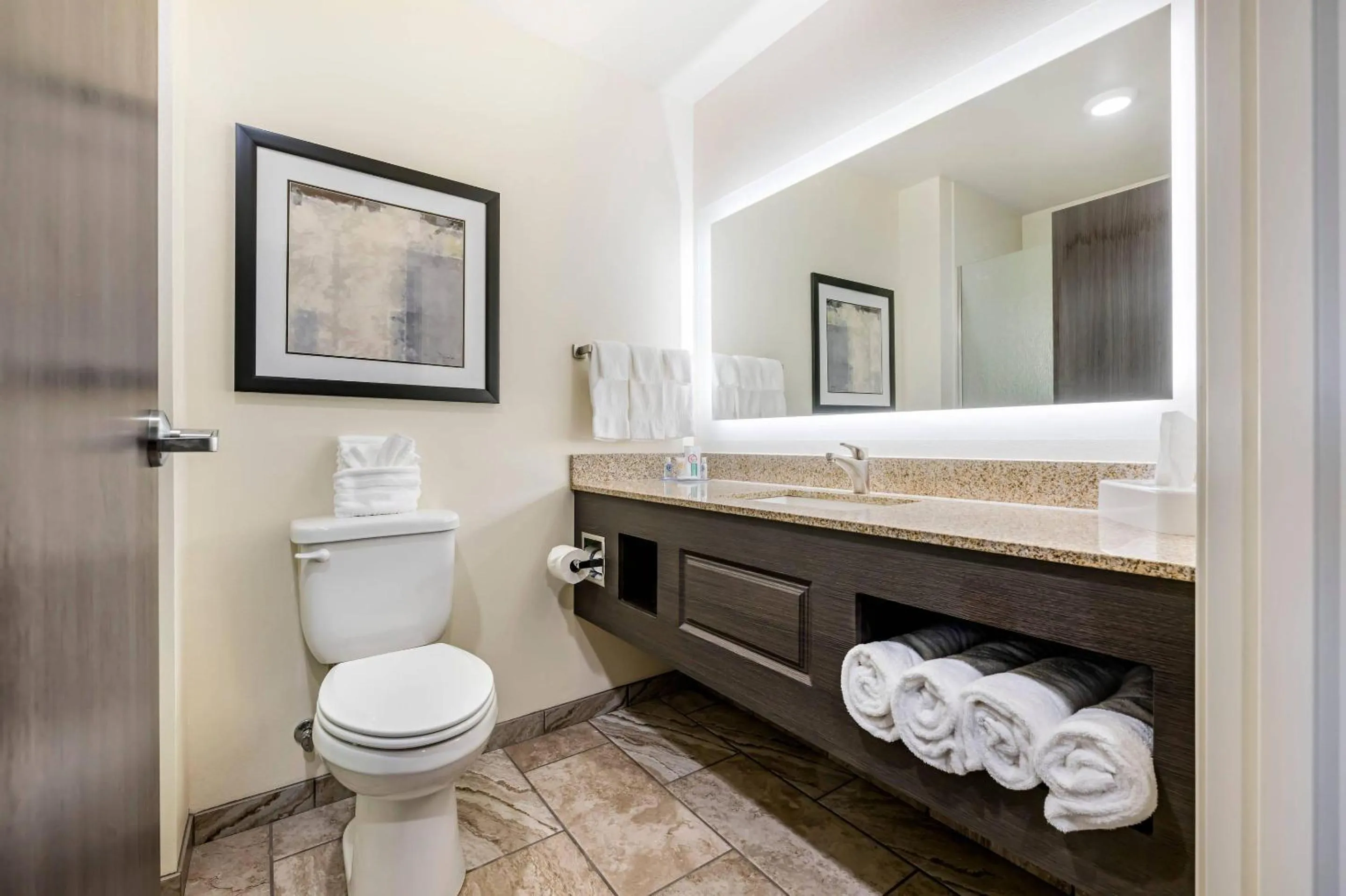 Bedroom in Comfort Inn & Suites Medina