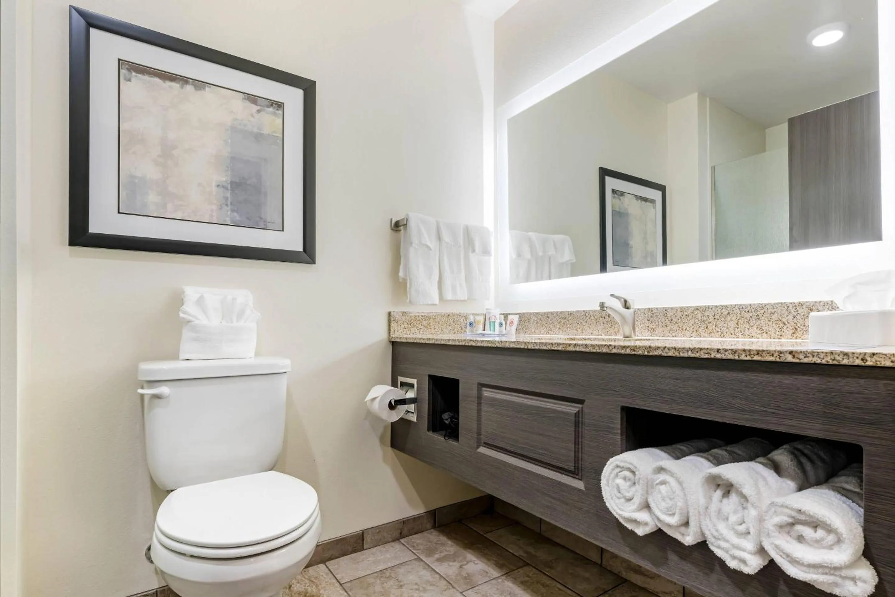 Bedroom in Comfort Inn & Suites Medina