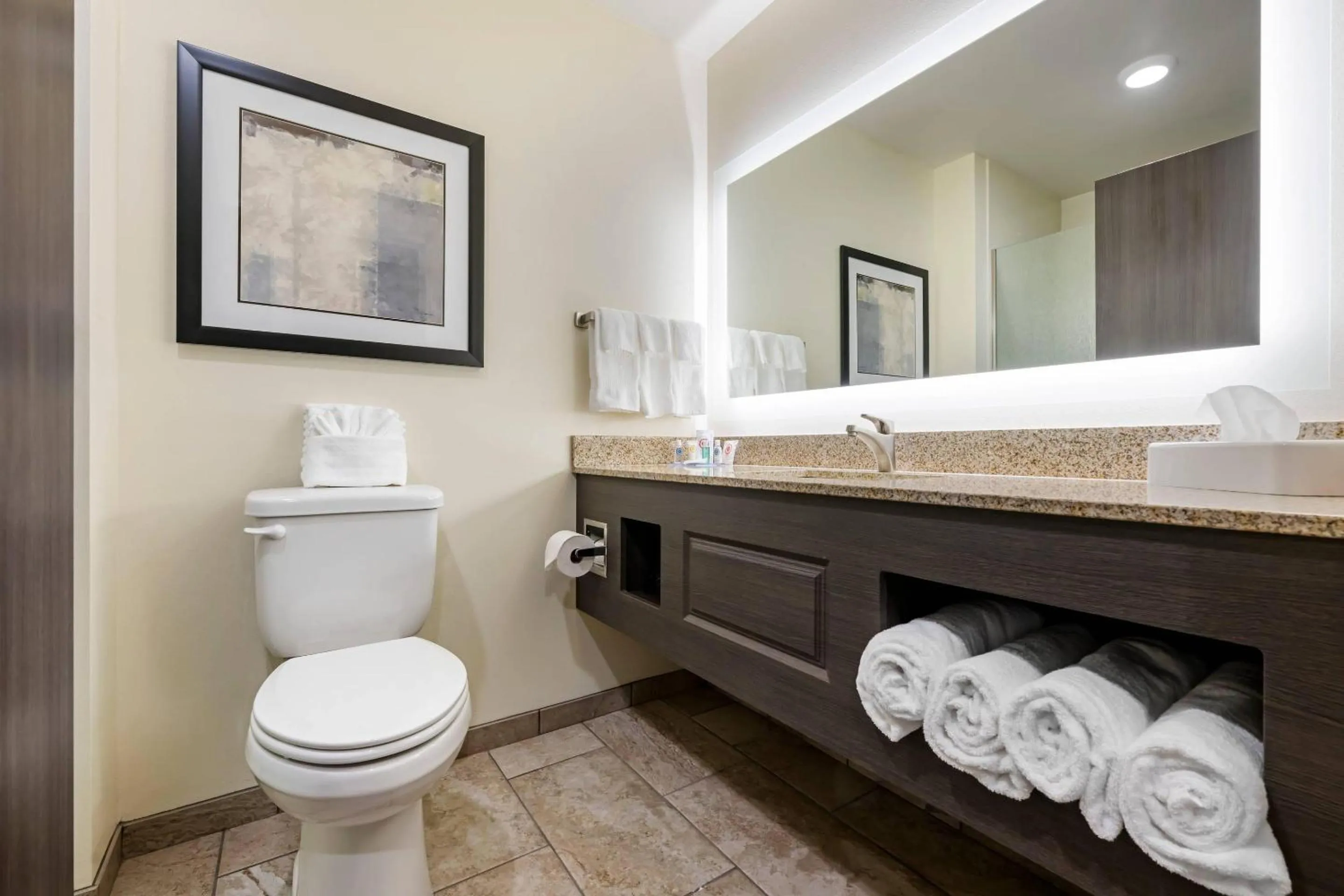 Bedroom in Comfort Inn & Suites Medina