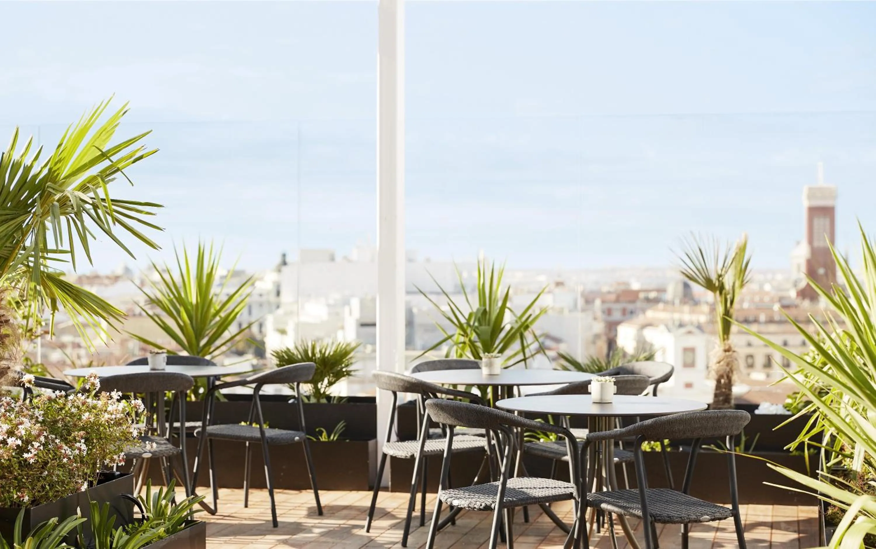 Restaurant/places to eat in Thompson Madrid, by Hyatt