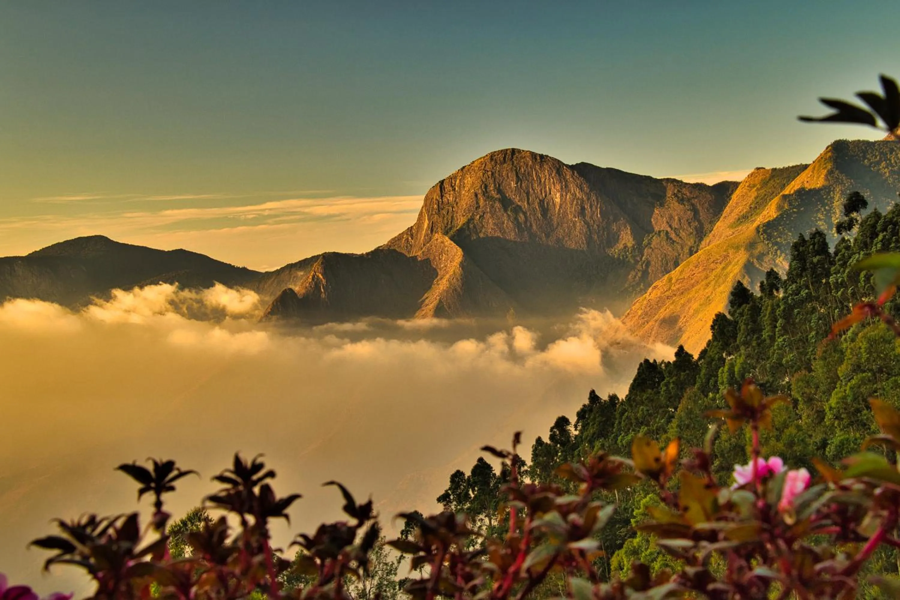 Natural landscape in Chandys Drizzle Drops - Munnar Top Station
