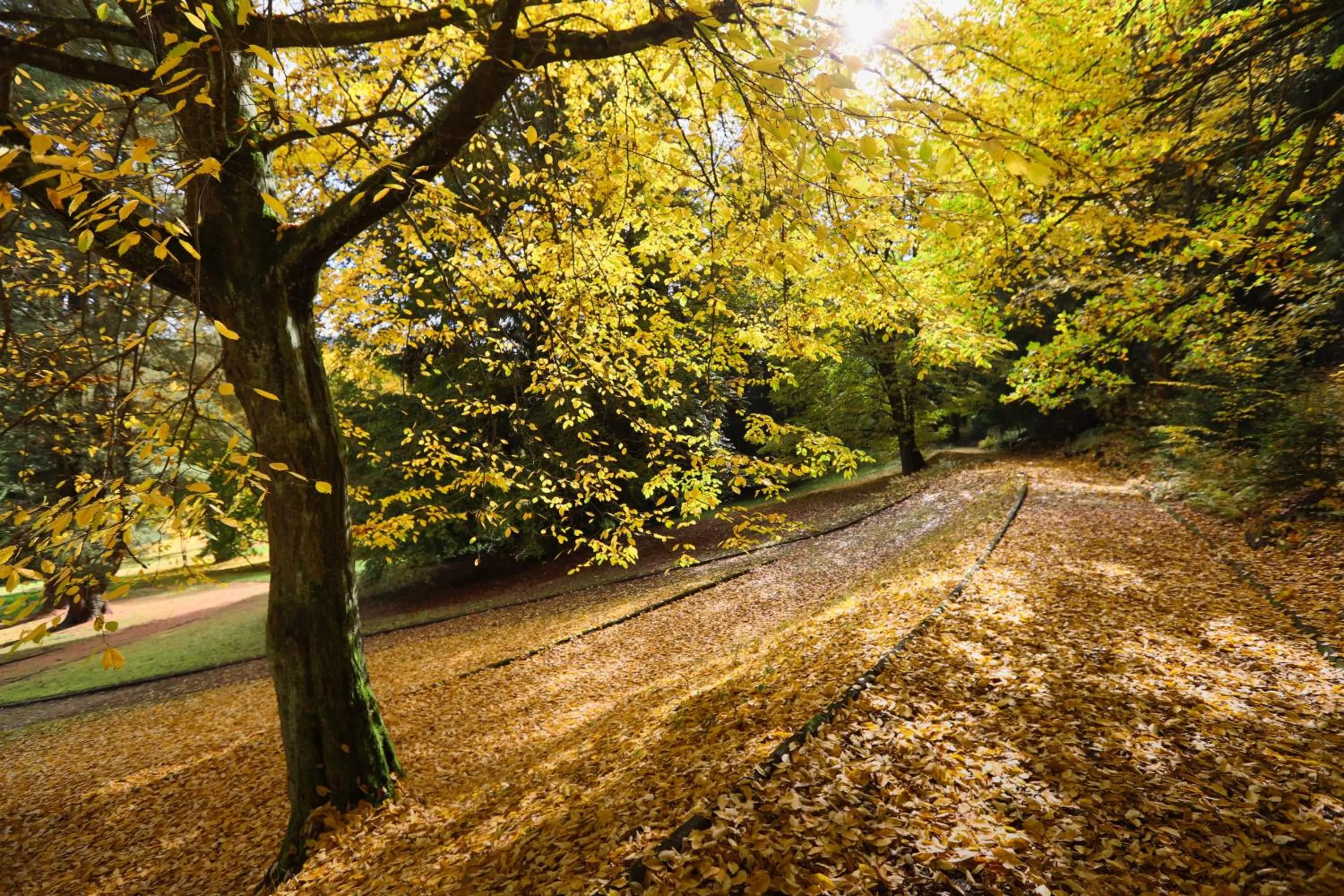 Natural landscape in Hotel Château Cihelny