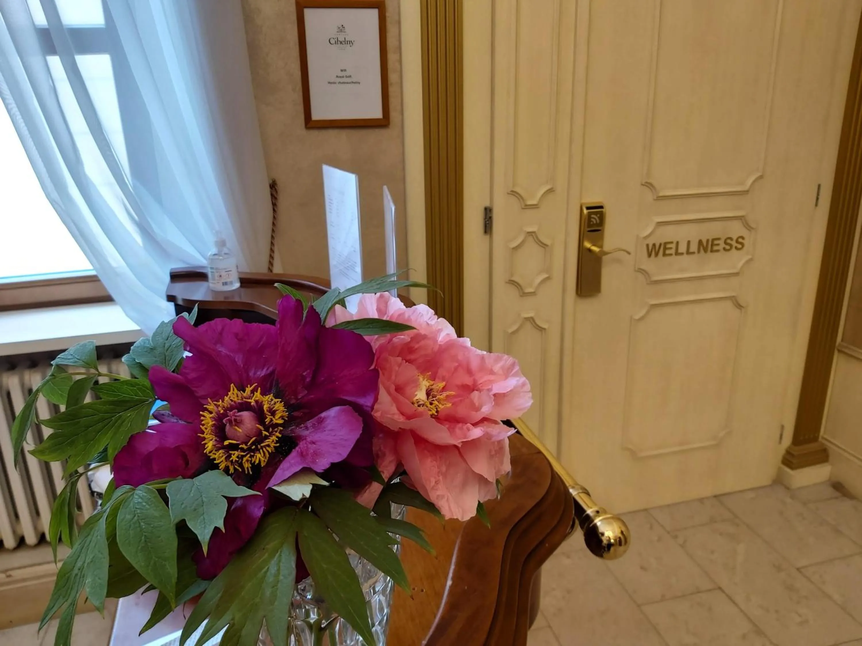 Spa and wellness centre/facilities in Hotel Château Cihelny