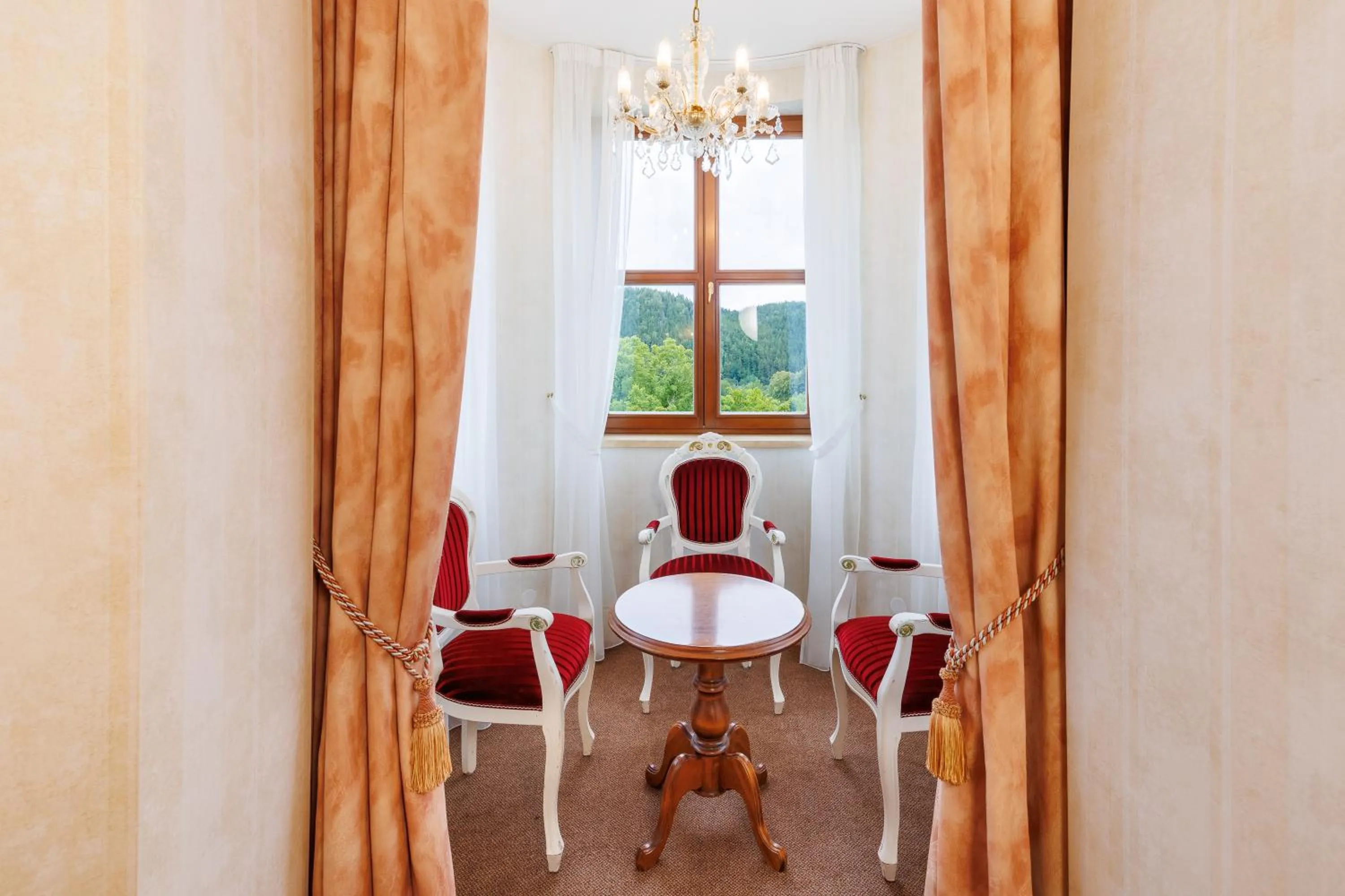 View (from property/room) in Hotel Château Cihelny