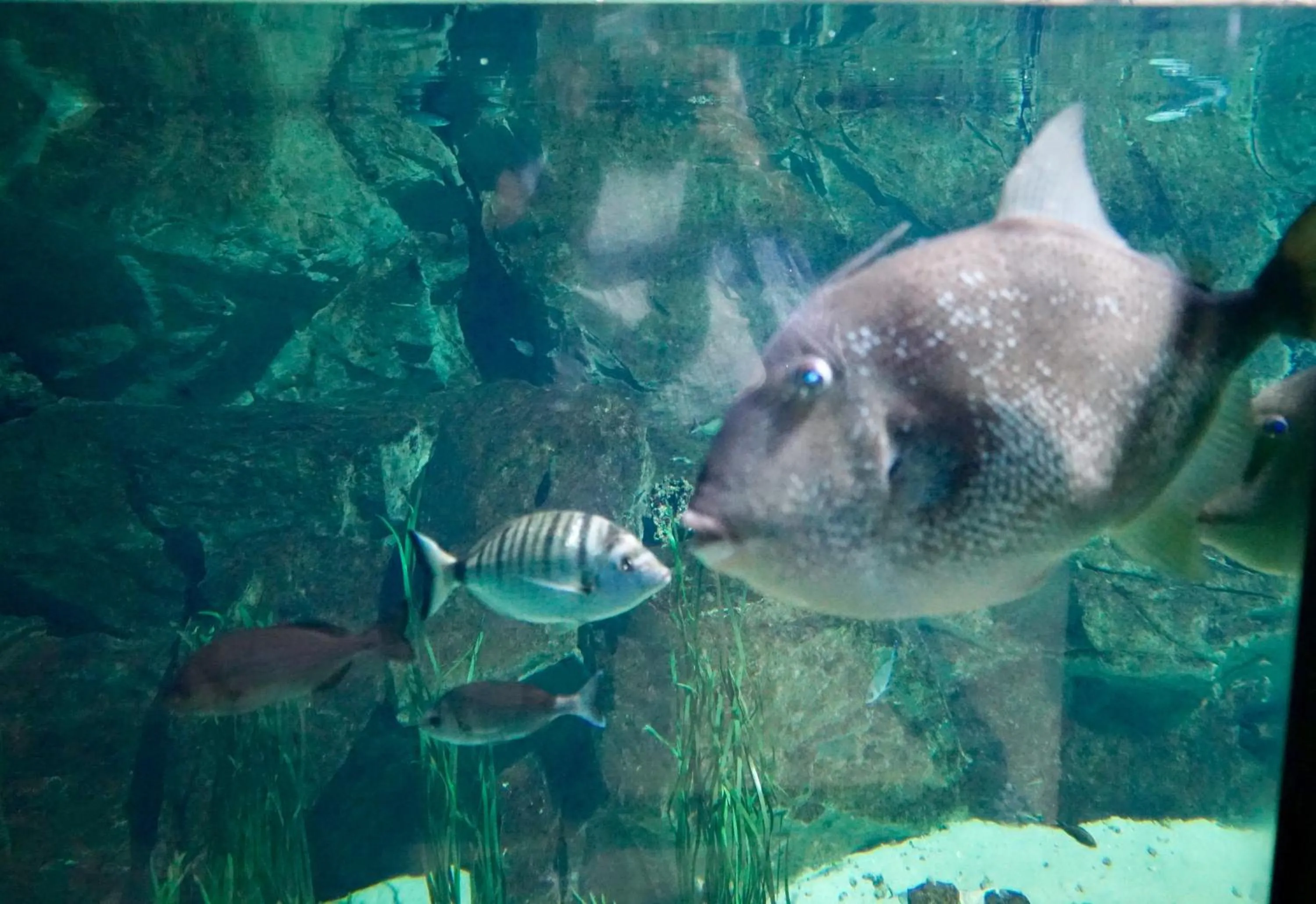 Aqua park in Hotel Citta'