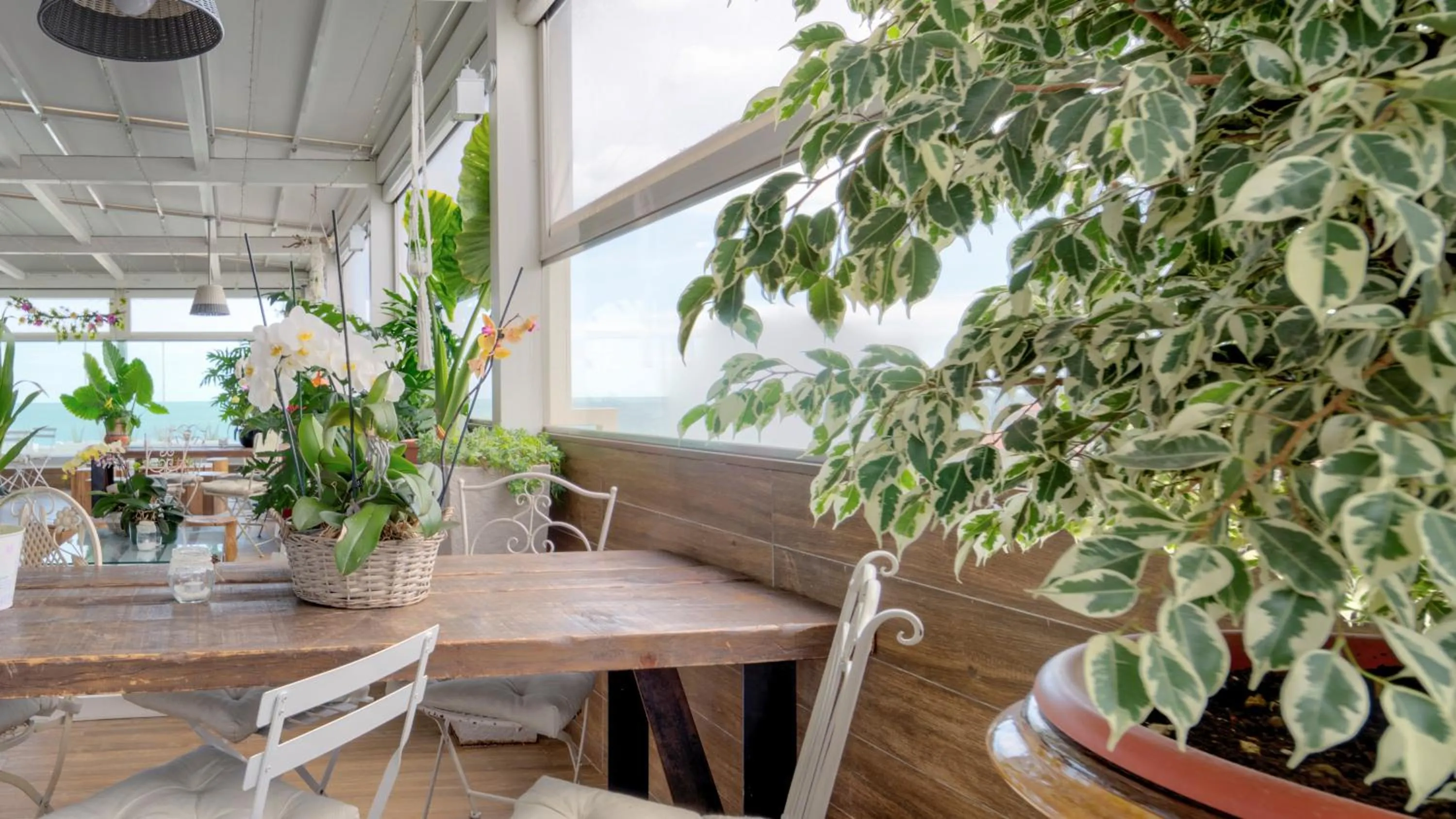 Restaurant/places to eat in Hotel Select Suites & Spa - Apartments