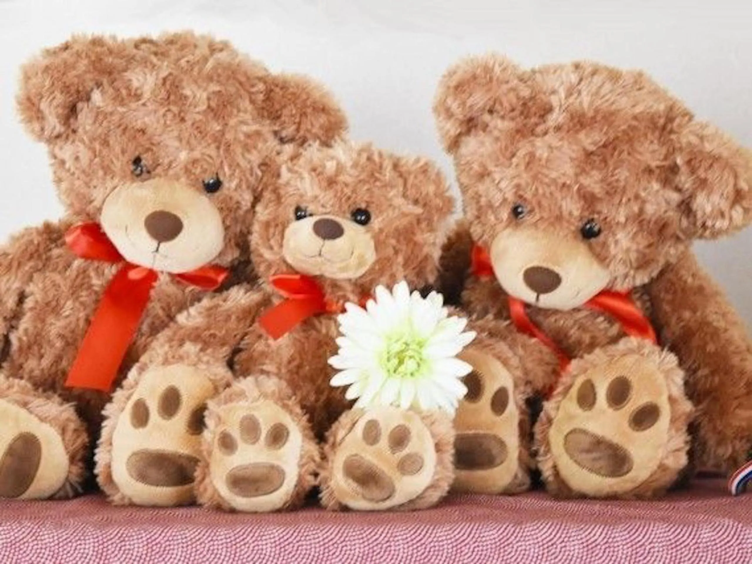 Nearby landmark in Nasushiobara Ichimantei