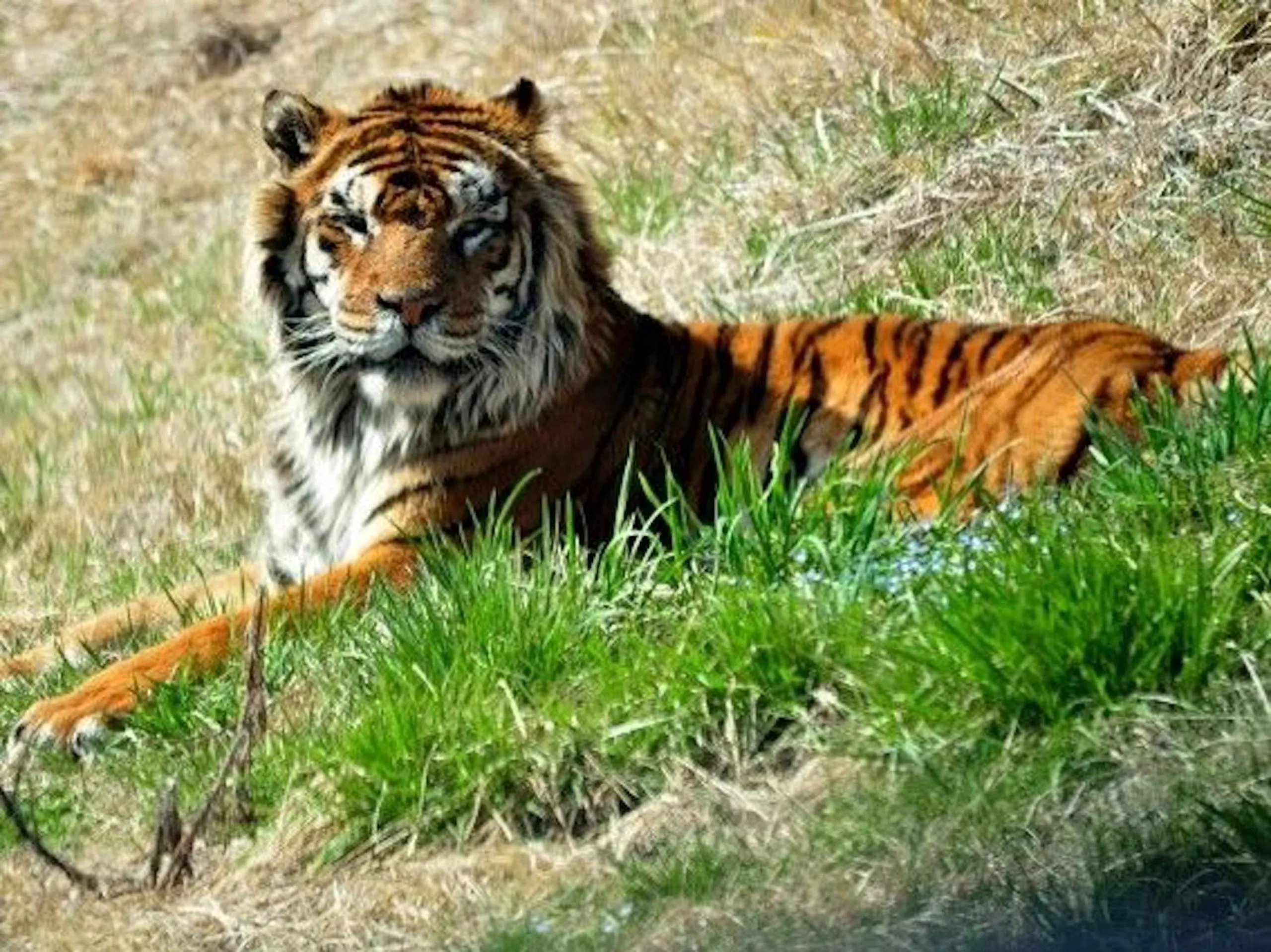 Nearby landmark in Nasushiobara Ichimantei