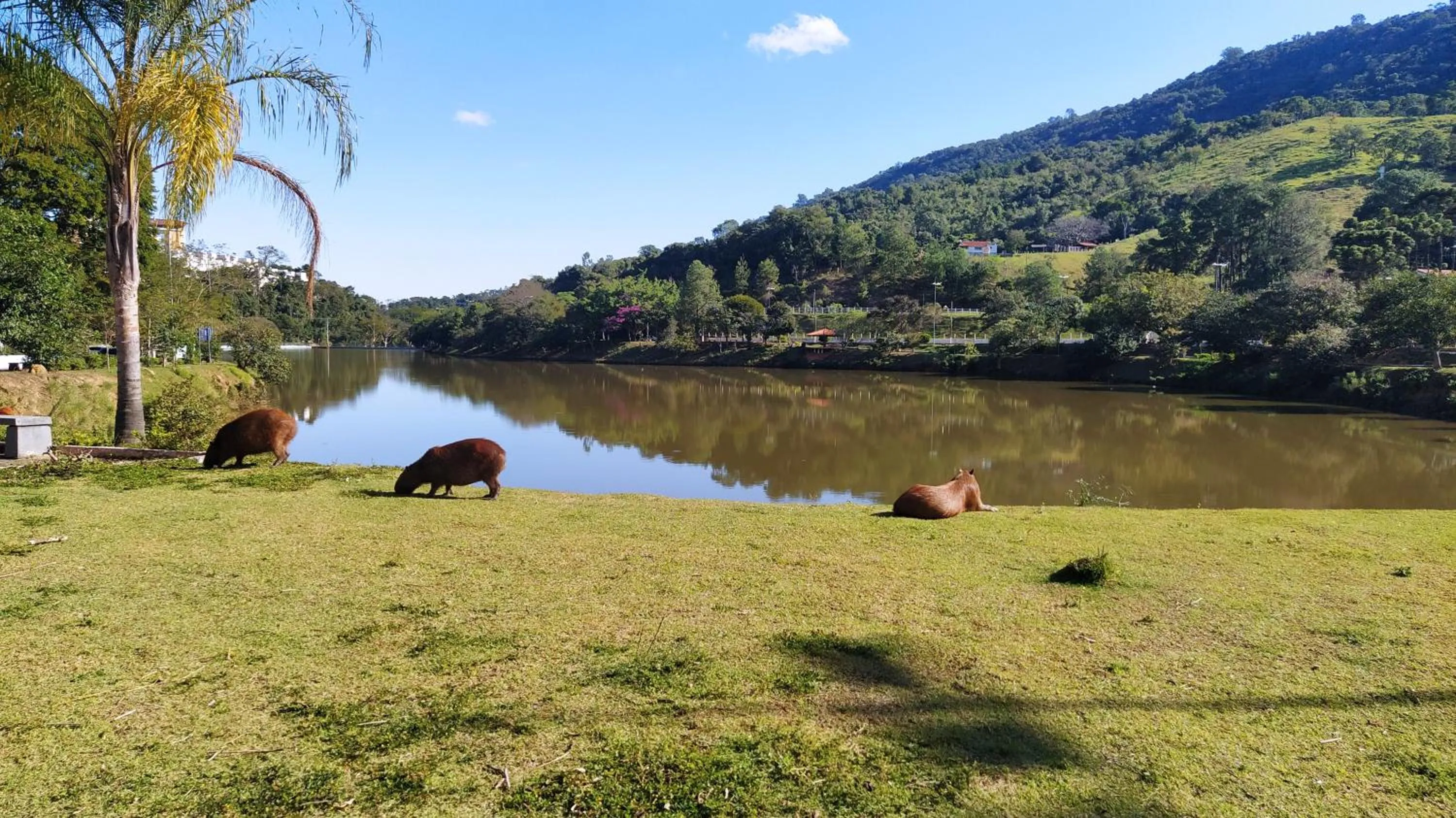 Fishing in Cavalinho Branco