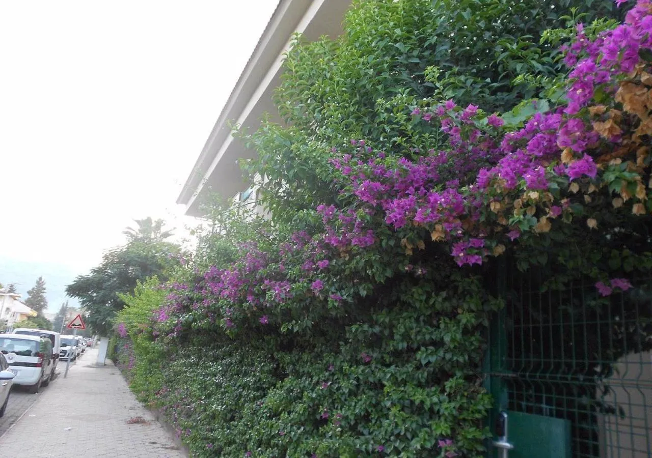 View (from property/room) in MURAT 2 Hotel