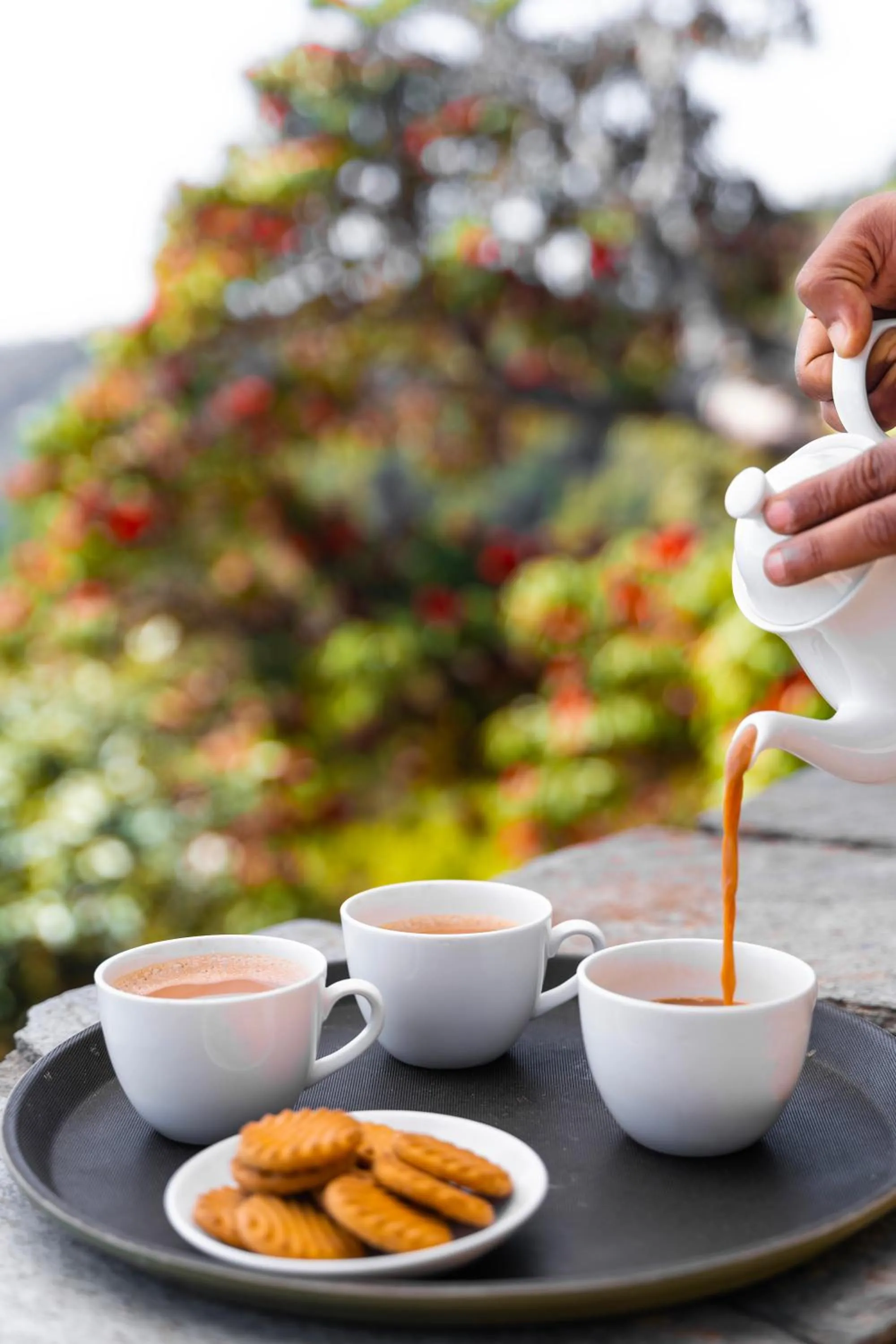 Restaurant/places to eat in Kot Kailash Kumaon