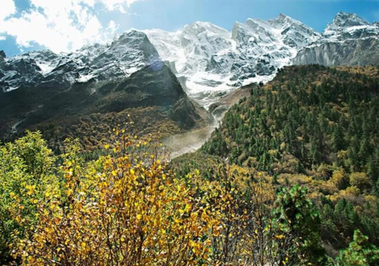 Mountain view in BluSalzz Escapade Resort Lansdowne