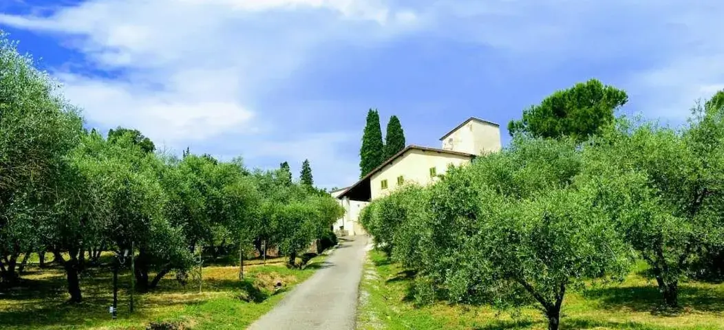 Villa Cipresso 2 Villa Cipresso 2