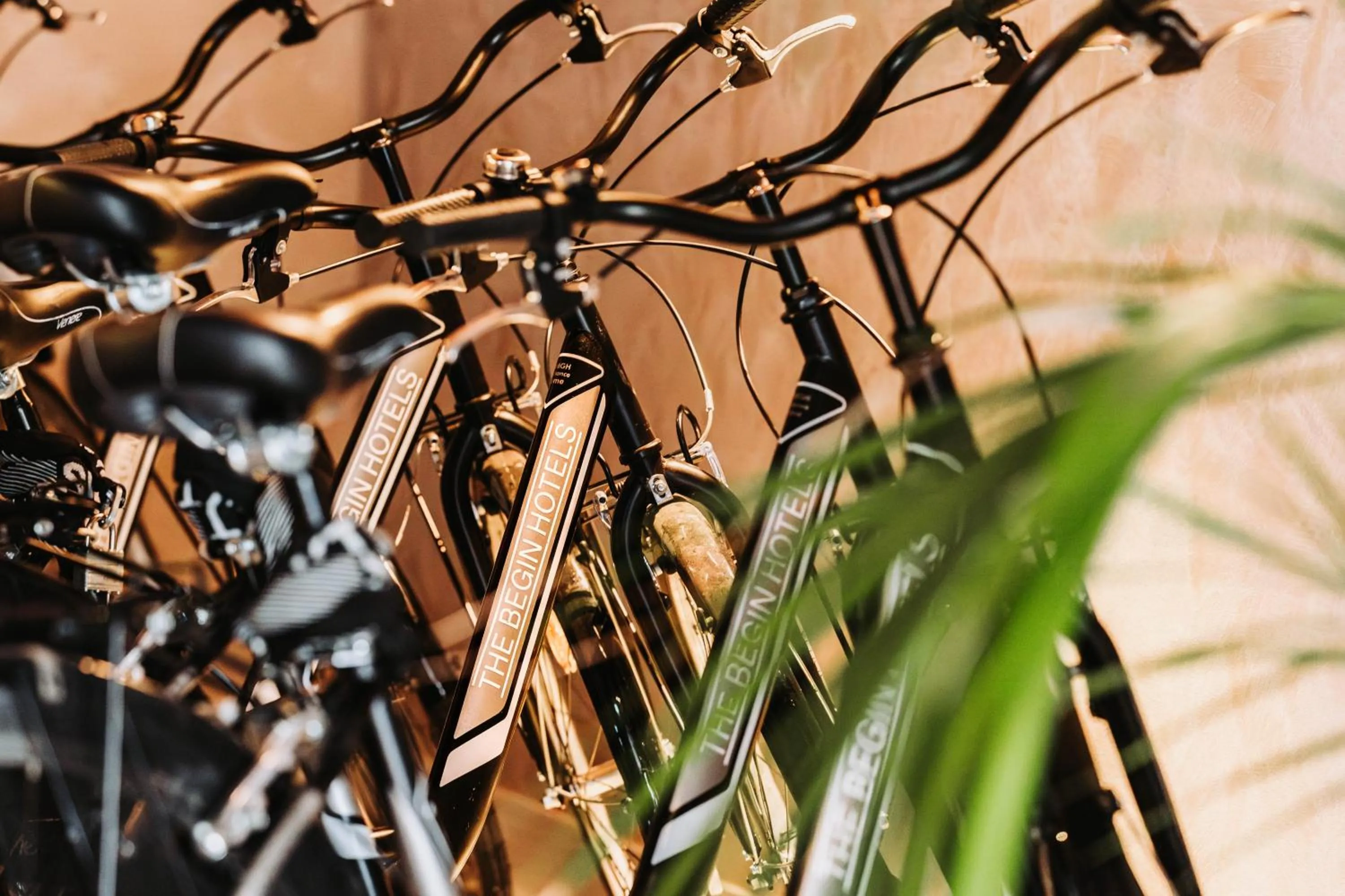 Cycling in Casa D'Este - Hotel Ferrara