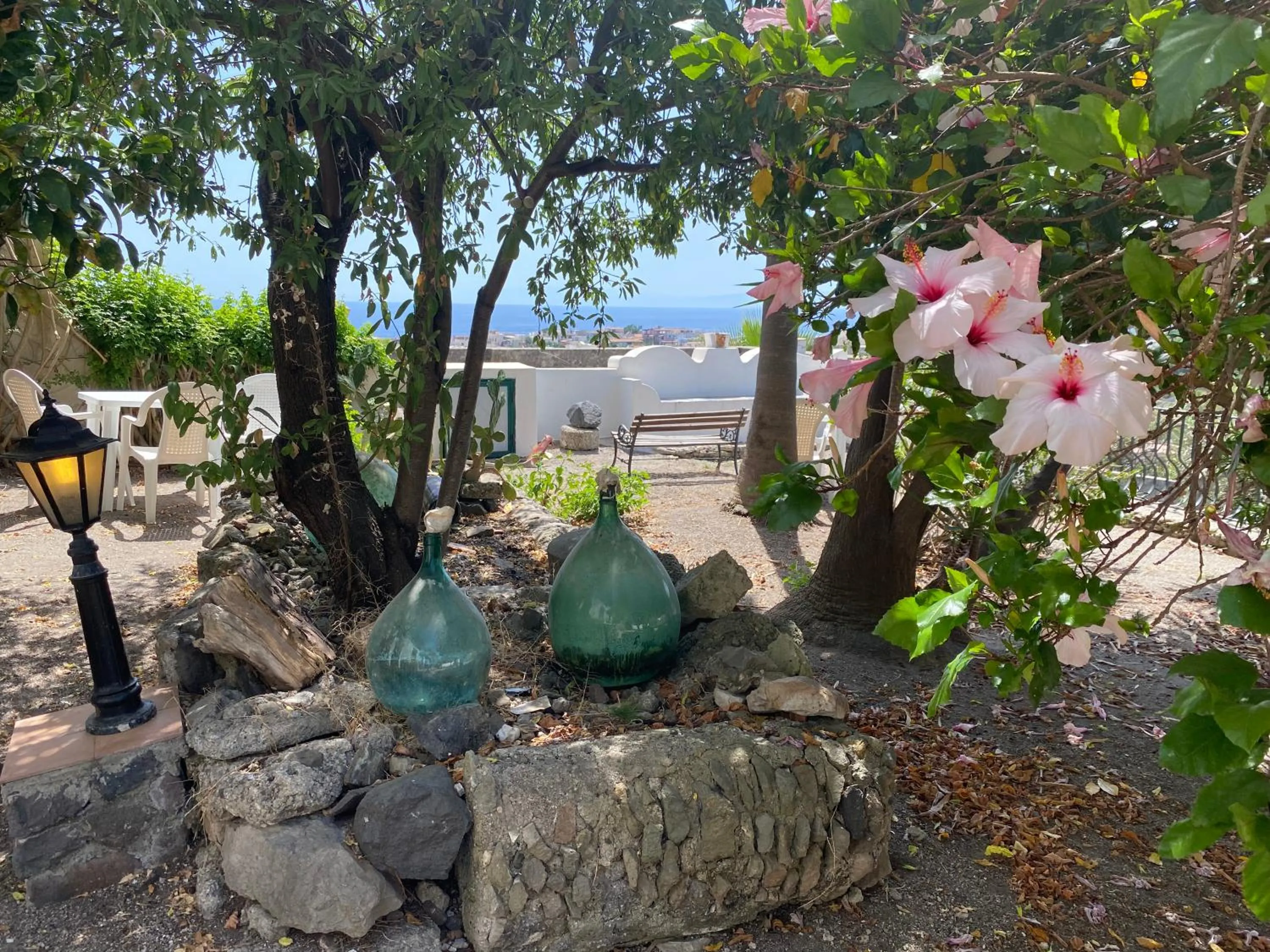 Garden in Hotel Villa Diana