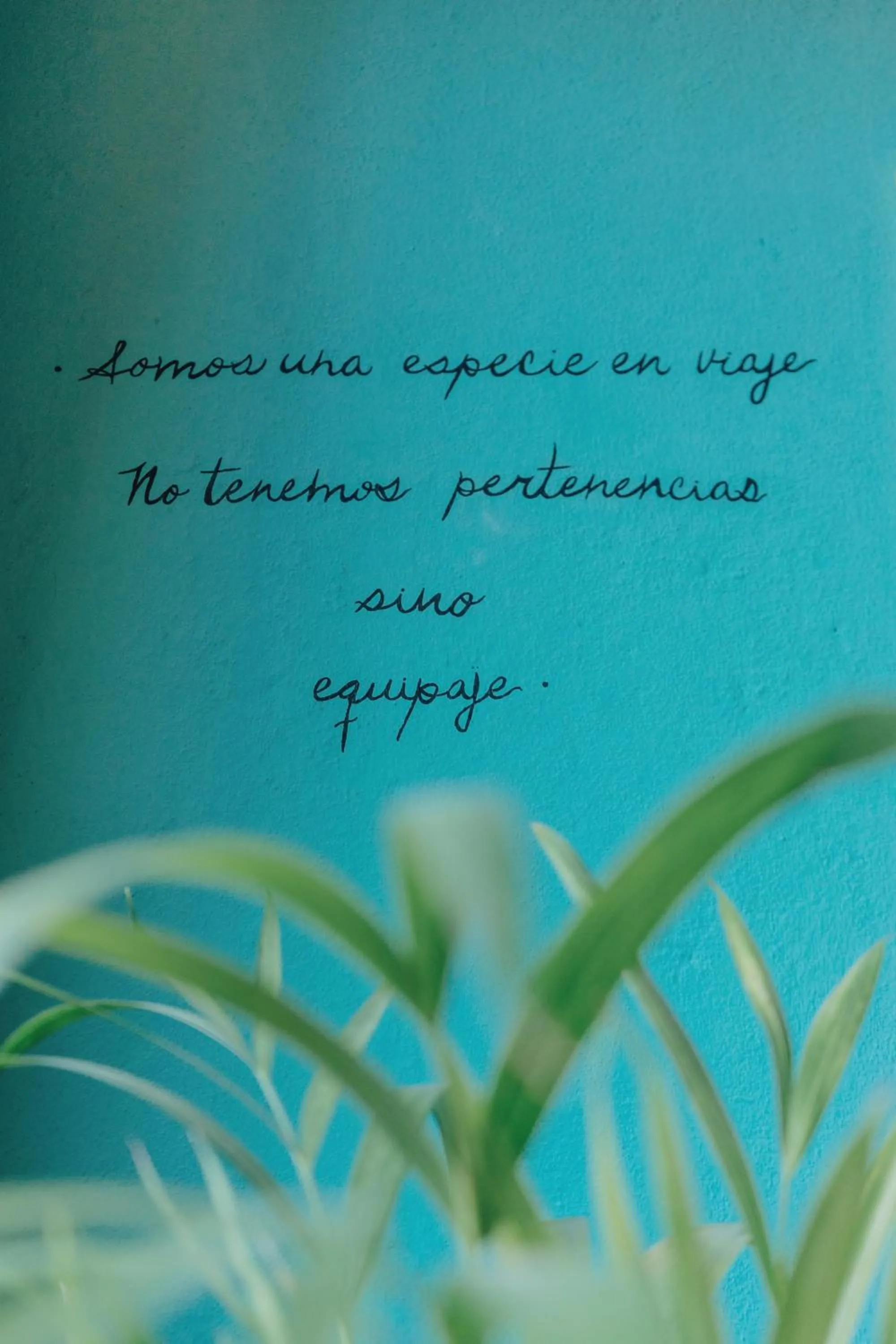 Living room in Selva India Suites