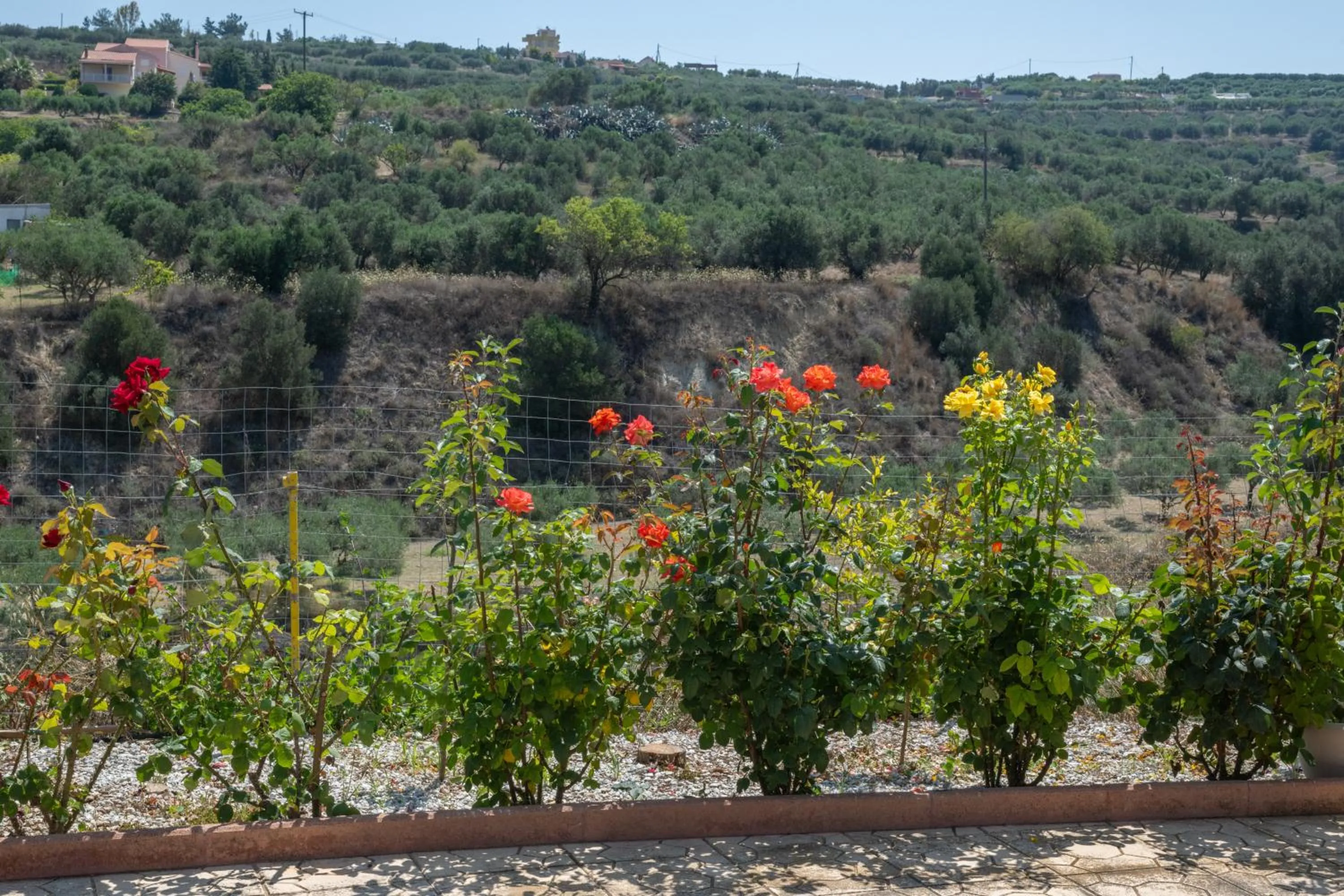 Mountain view in Aelia Home