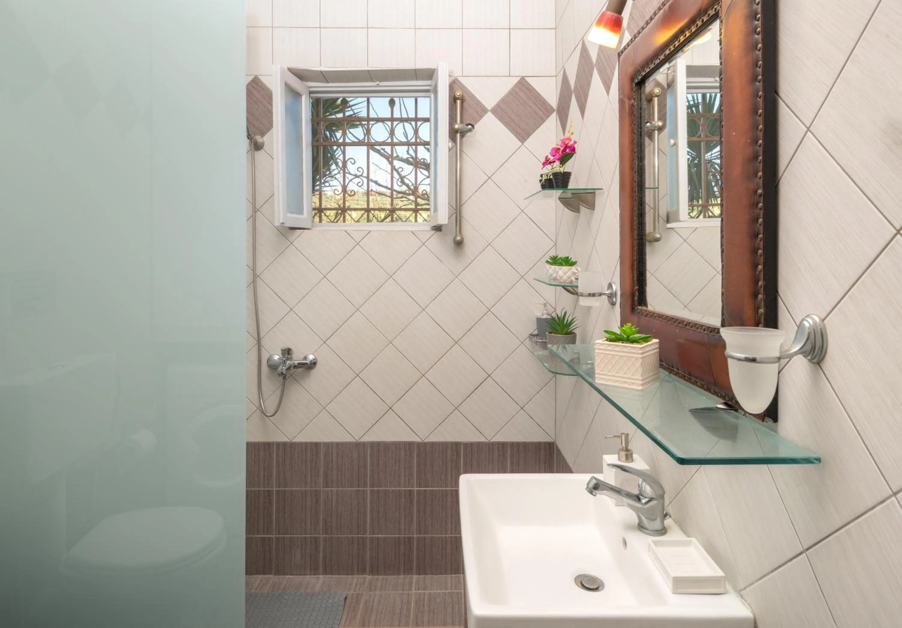 Shower in Aelia Home