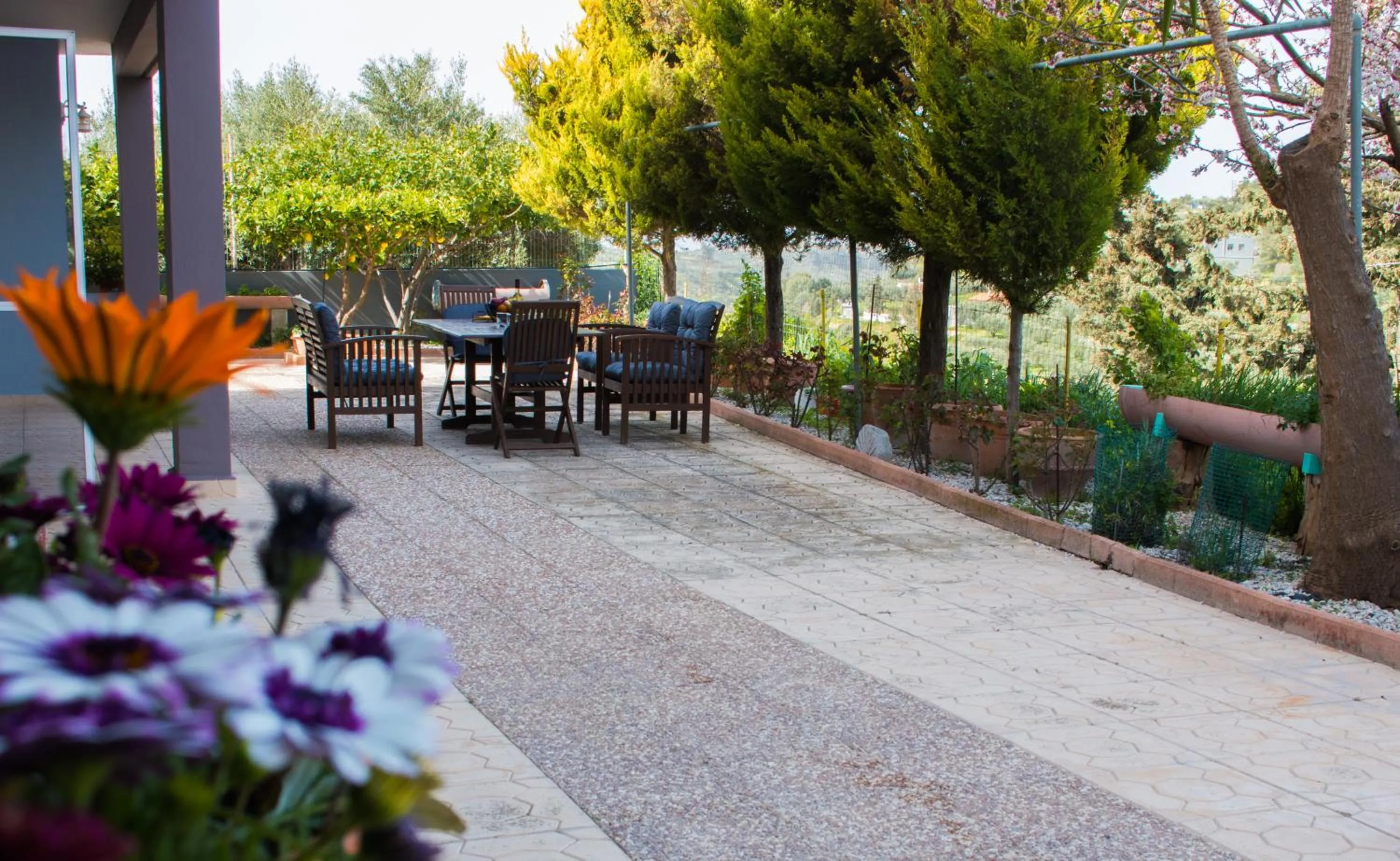 Garden in Aelia Home