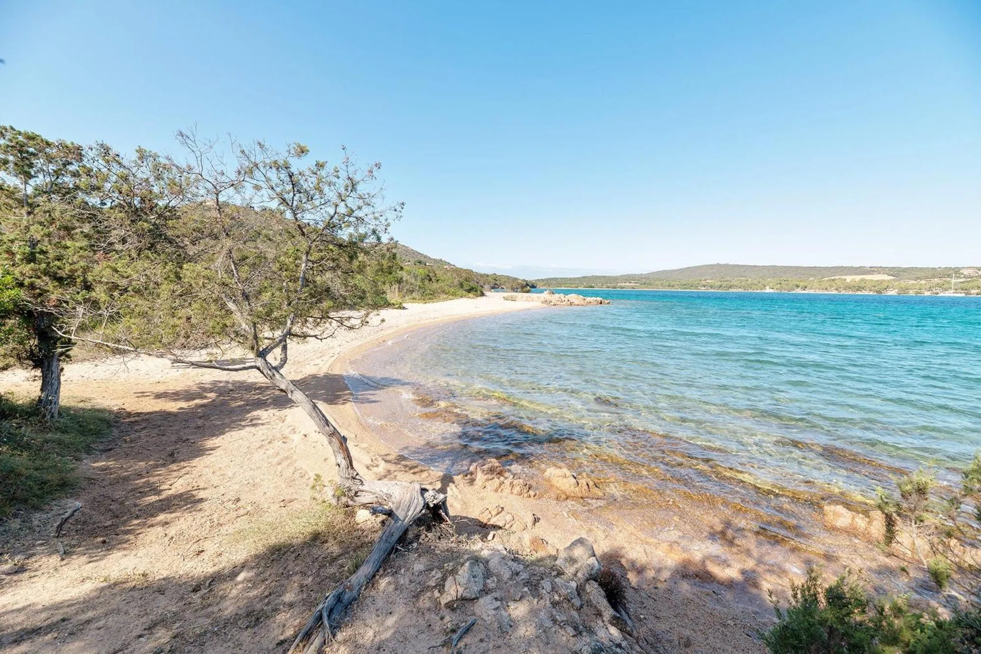 Beach in Palau Green Village