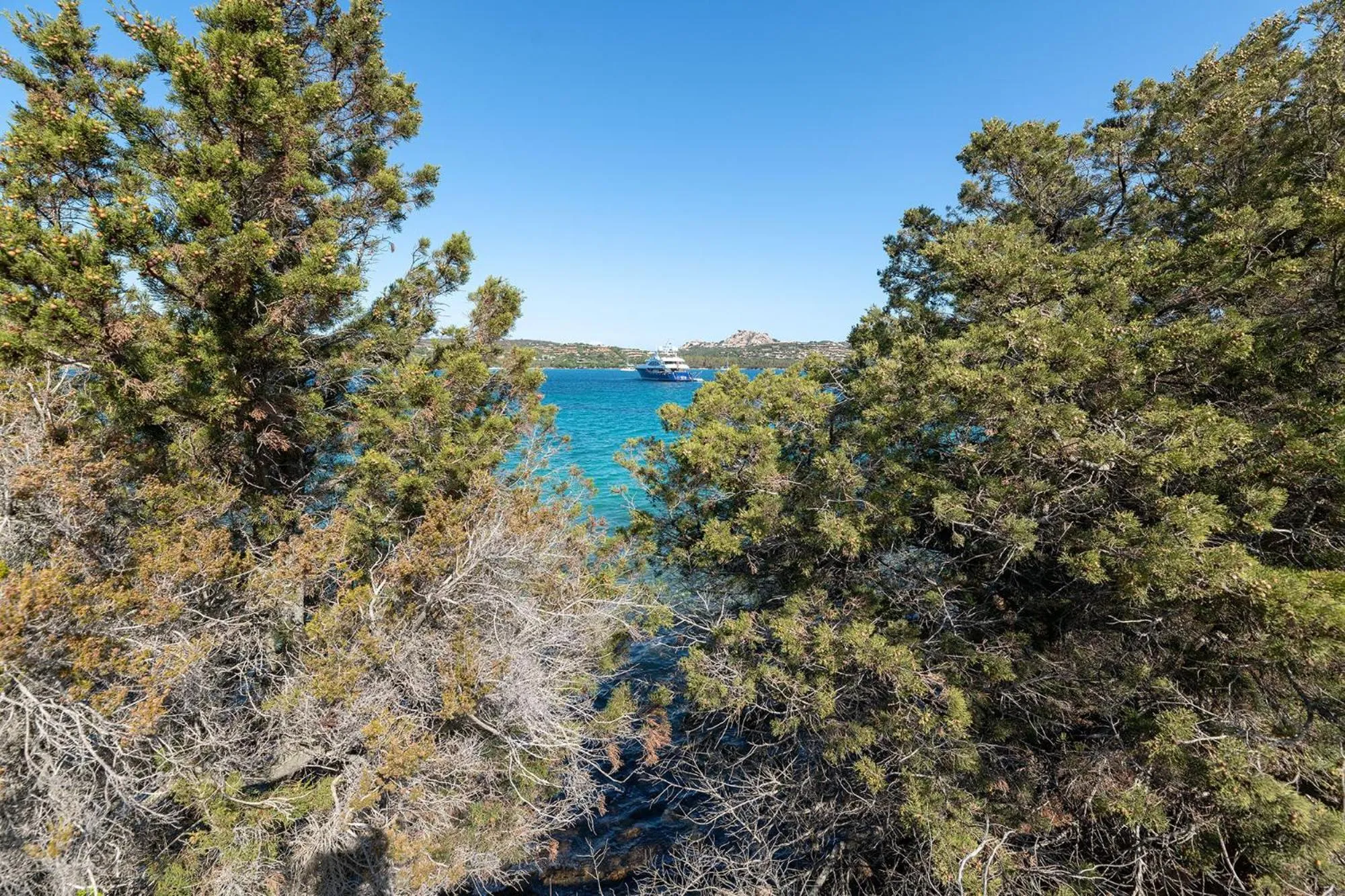 Beach in Palau Green Village