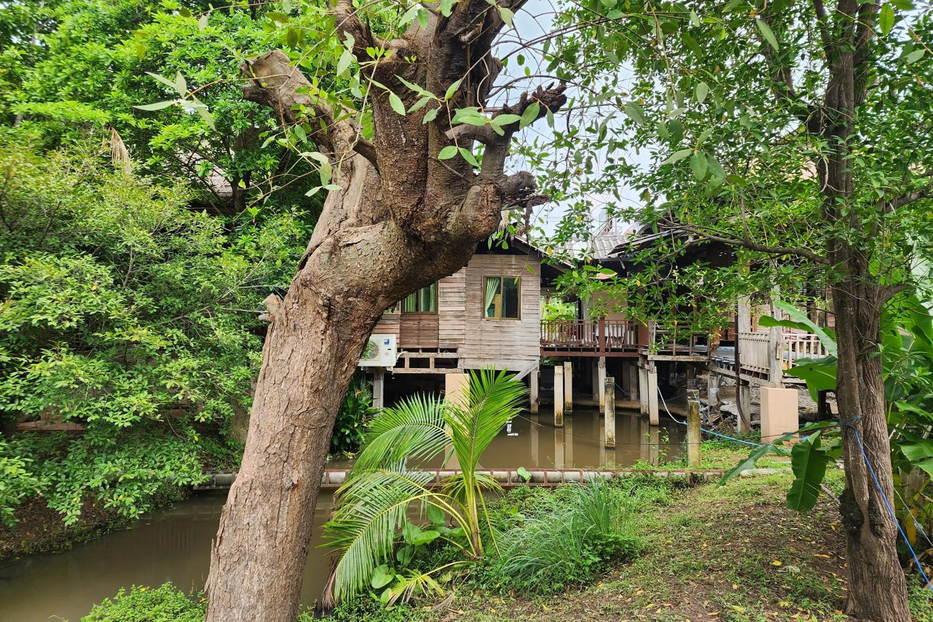 Garden view in Karaboon Wellness