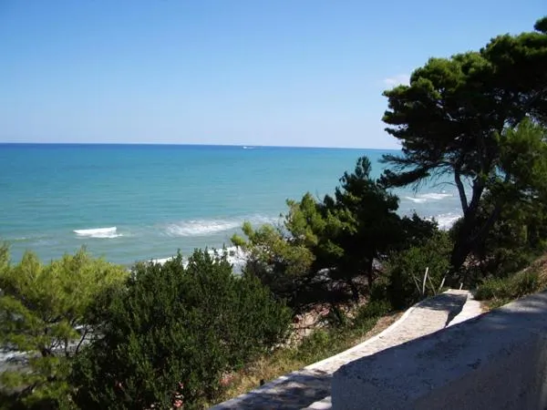 Day in Villa Nettuno