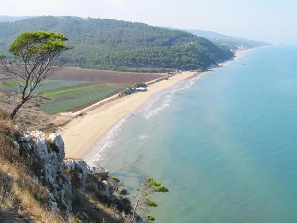 Beach in Villa Nettuno