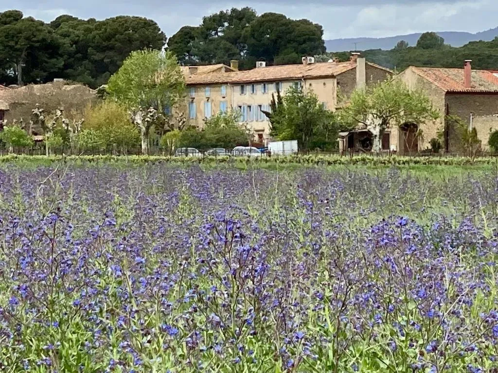 Property building in Le Relais d'Affiac