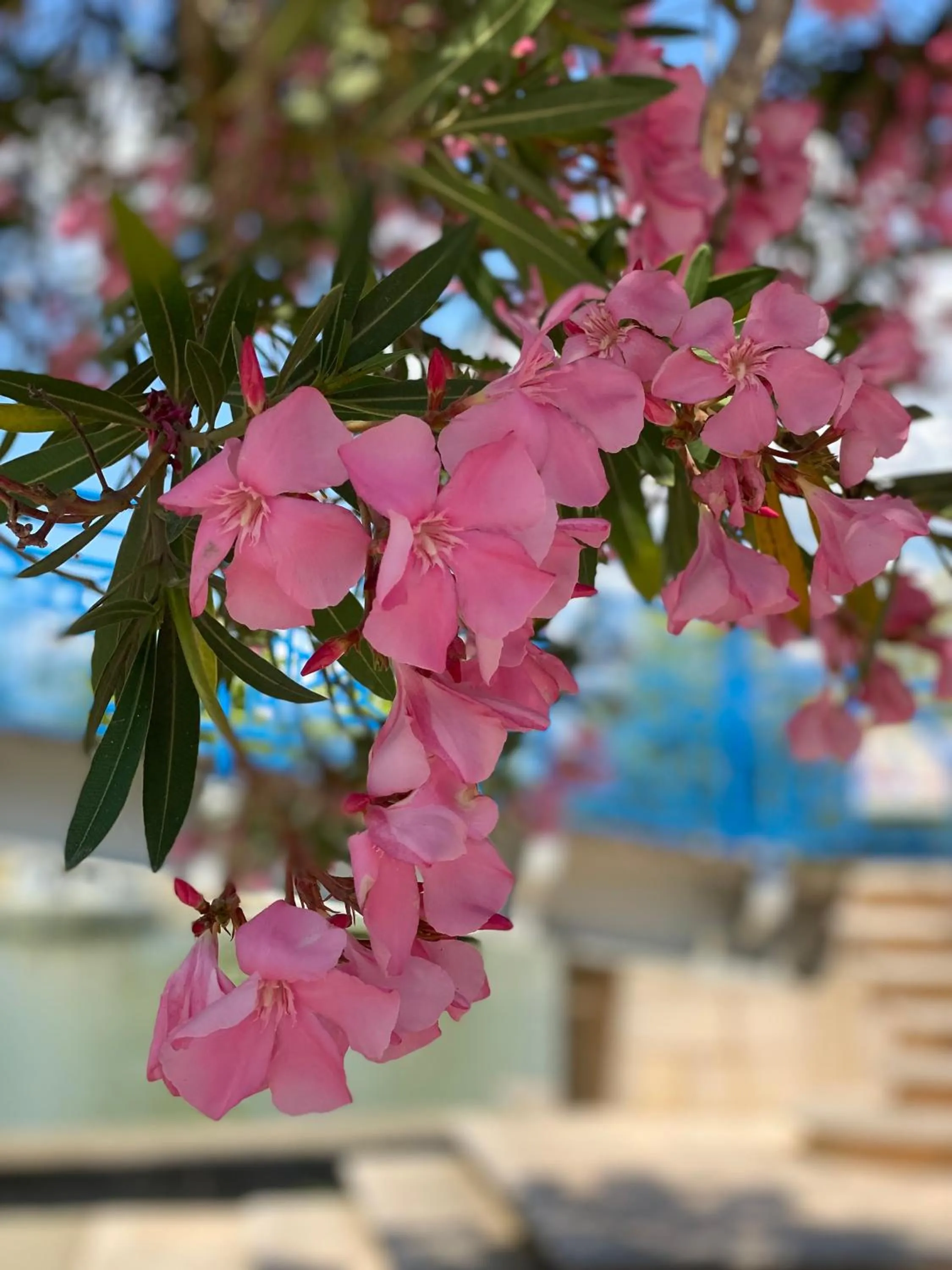 Nearby landmark in Le Relais d'Affiac