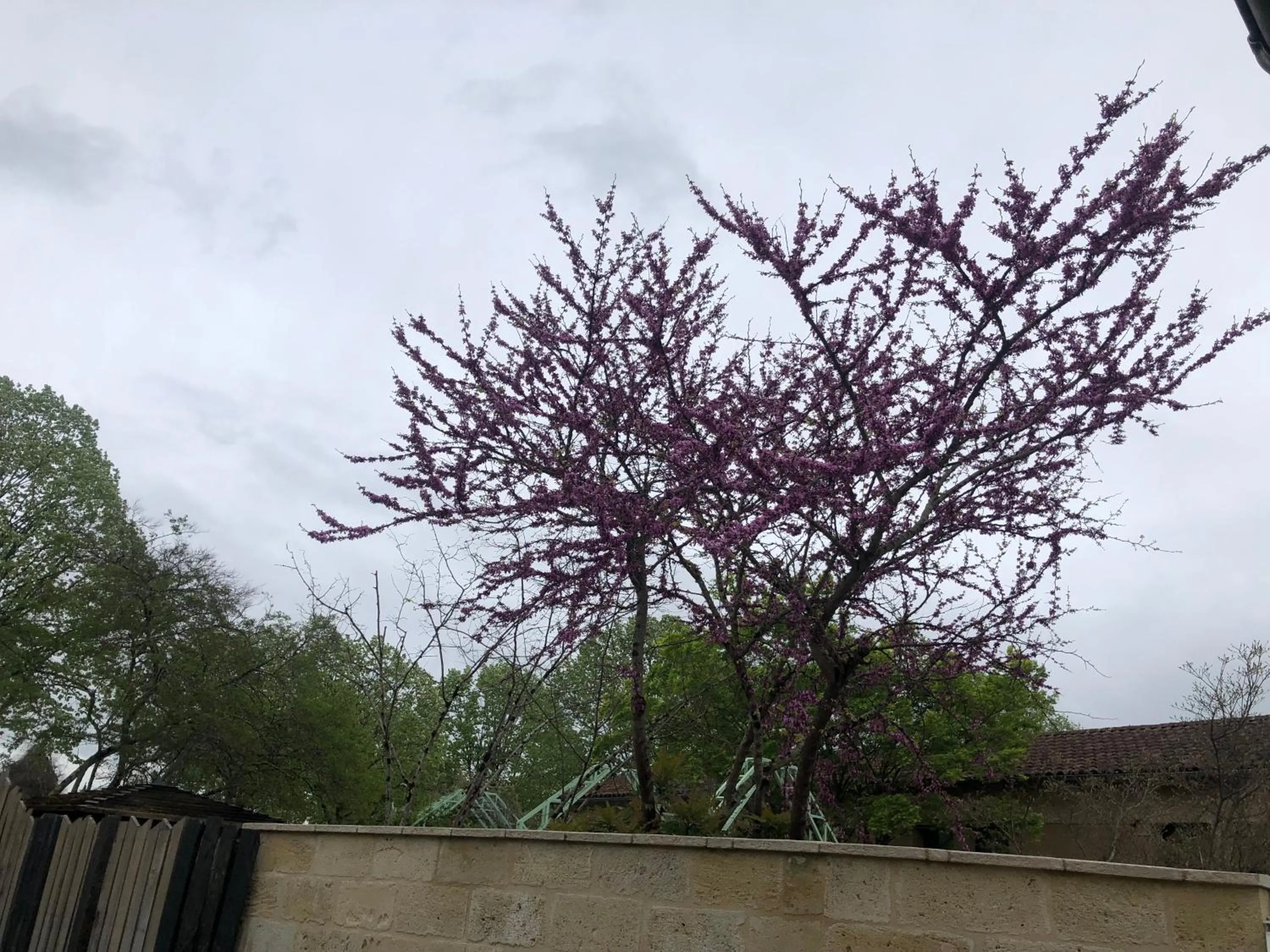 Spring in Le Numéro 15