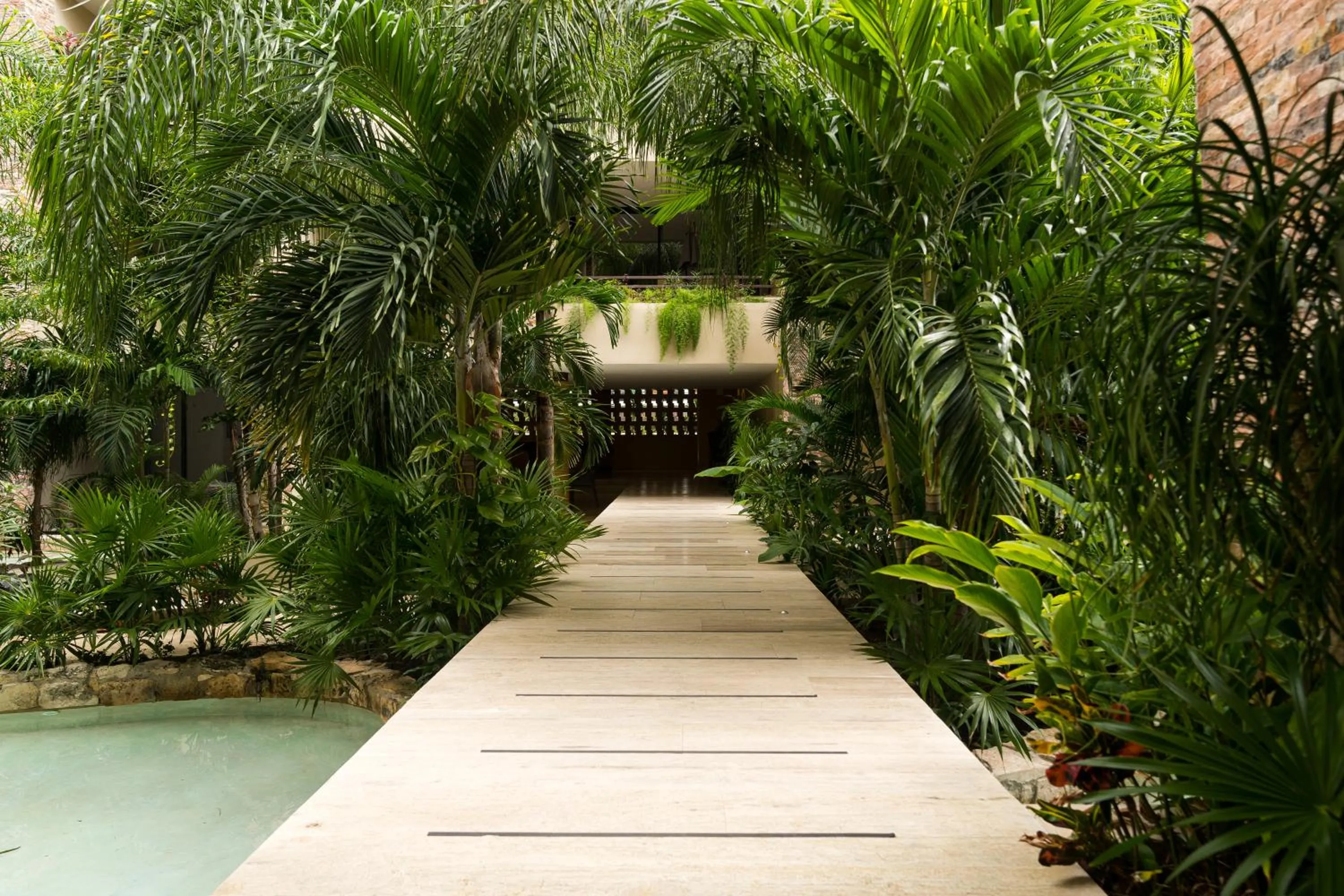 Swimming pool in 'Syrena Luxury Caribbean' Heart of Playa del Carmen - Fast Wi-fi - Sea Views